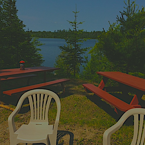 Picnic Area.jpg