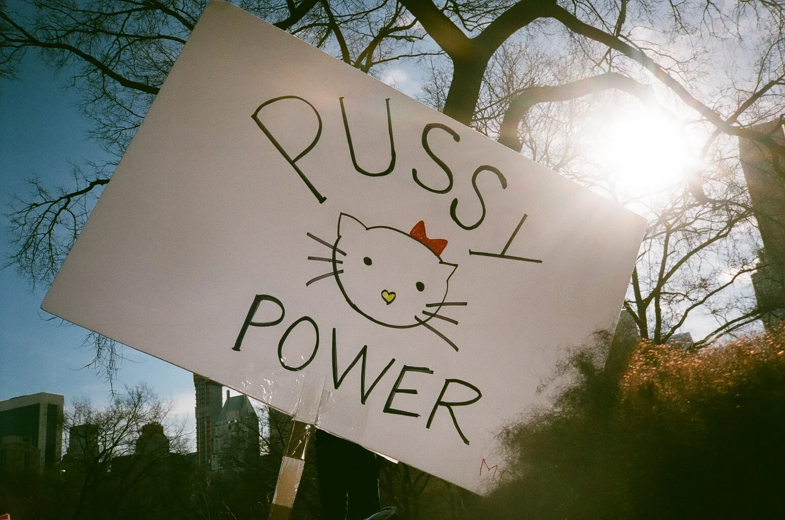 000226310007.jpg