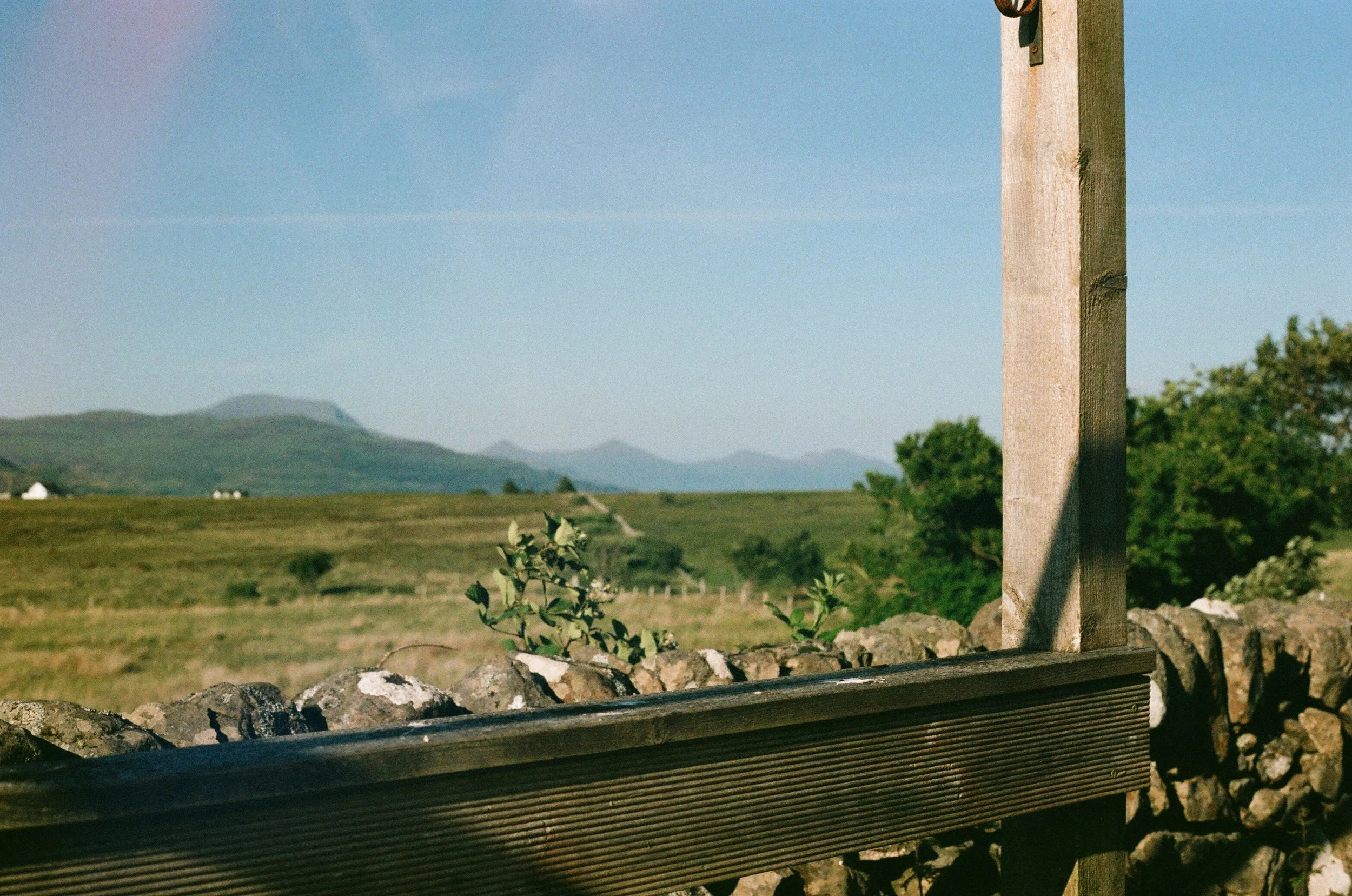 44720021.jpg