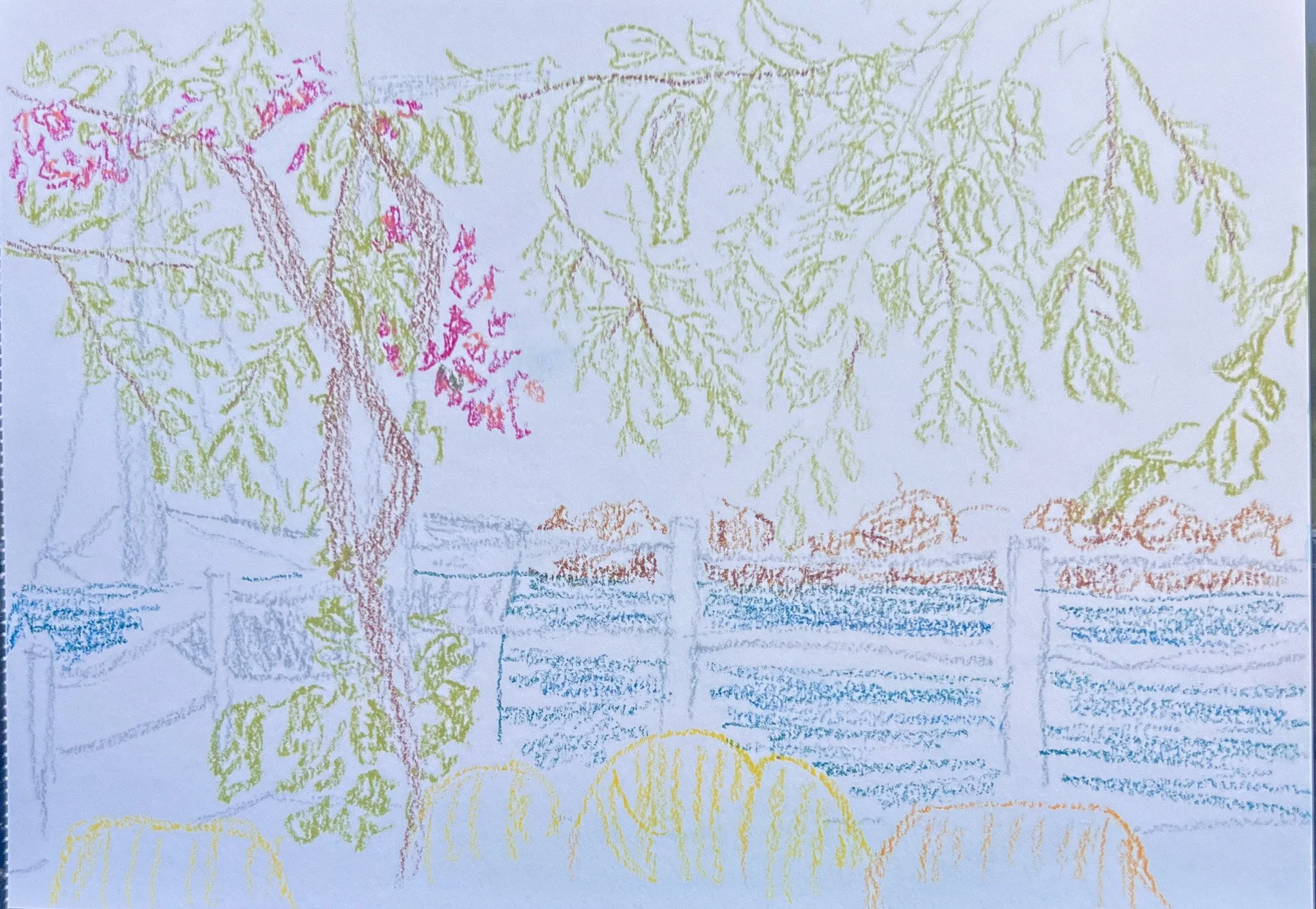 Post Breakfast - Sketch