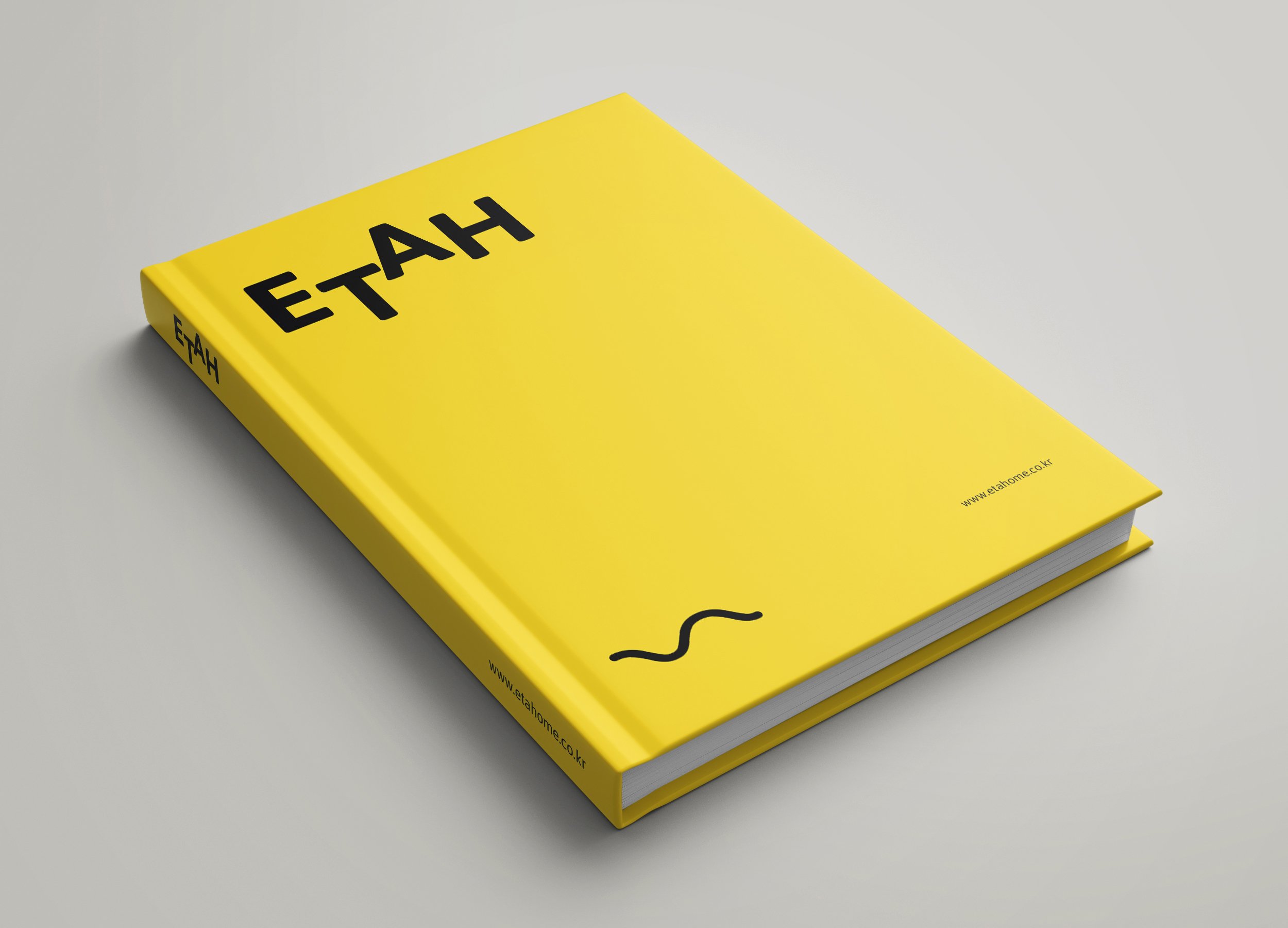 ETAH_Book_Mockup_01 copy.jpg