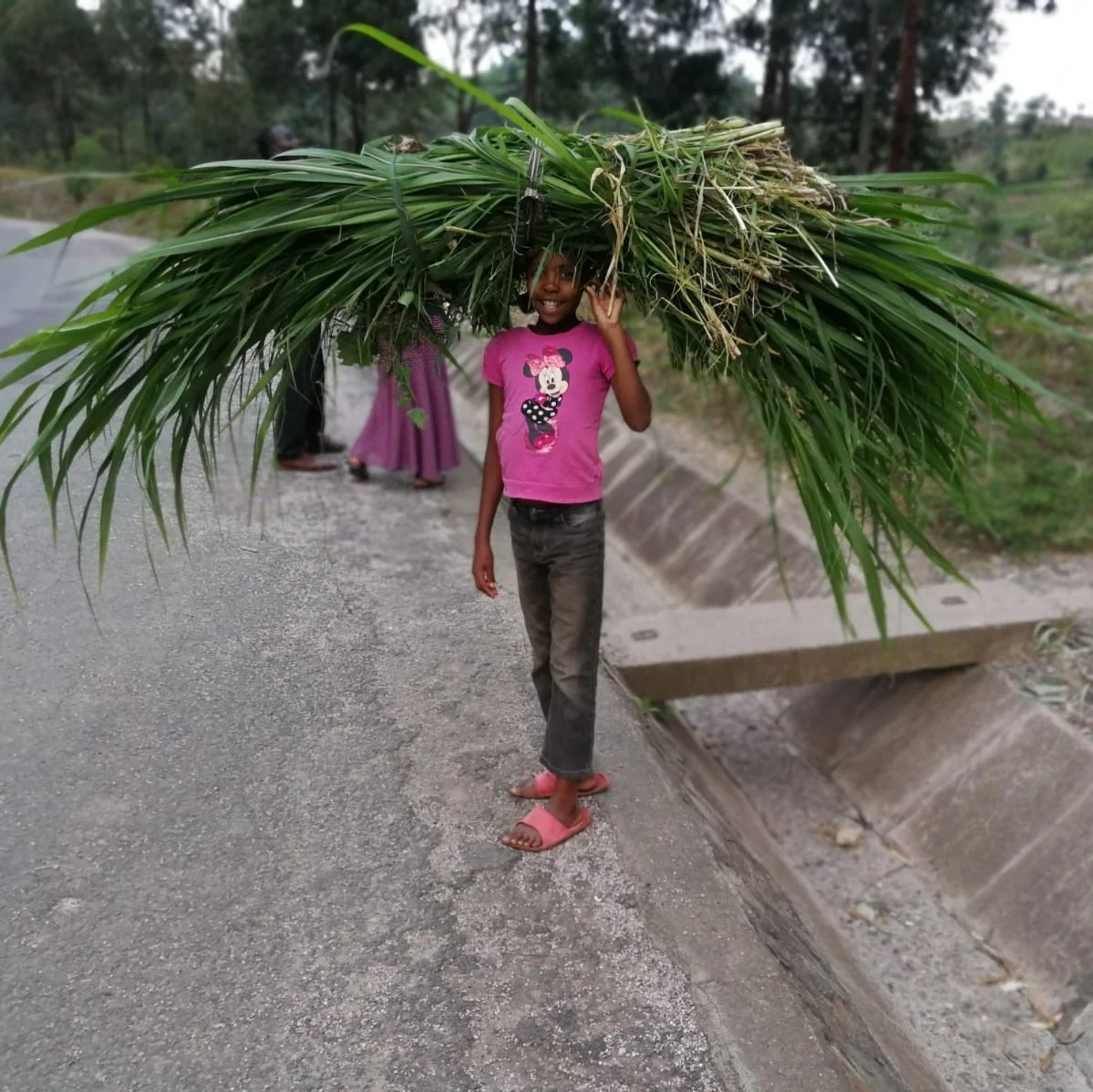 The road to Lake Kivu
