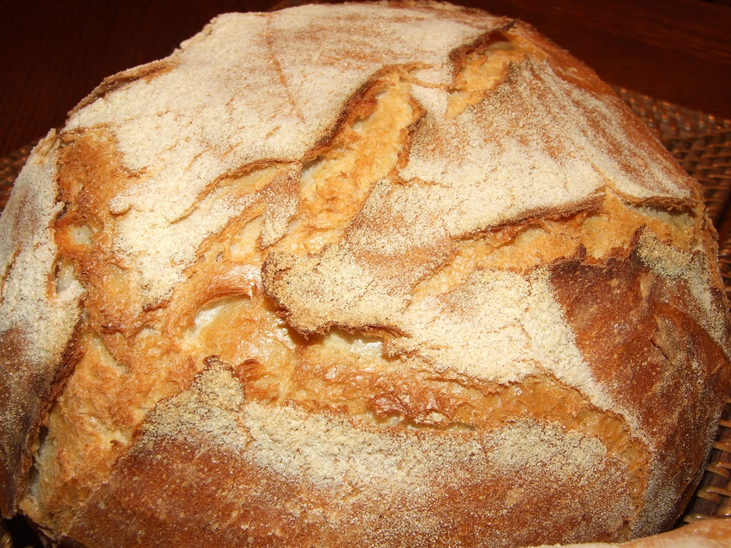 The Science of Bread Intro to Sourdough Bread-Making Workshop $75.00