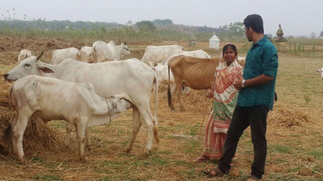 Cows for Leaders — L.I.O.N. Outreach International