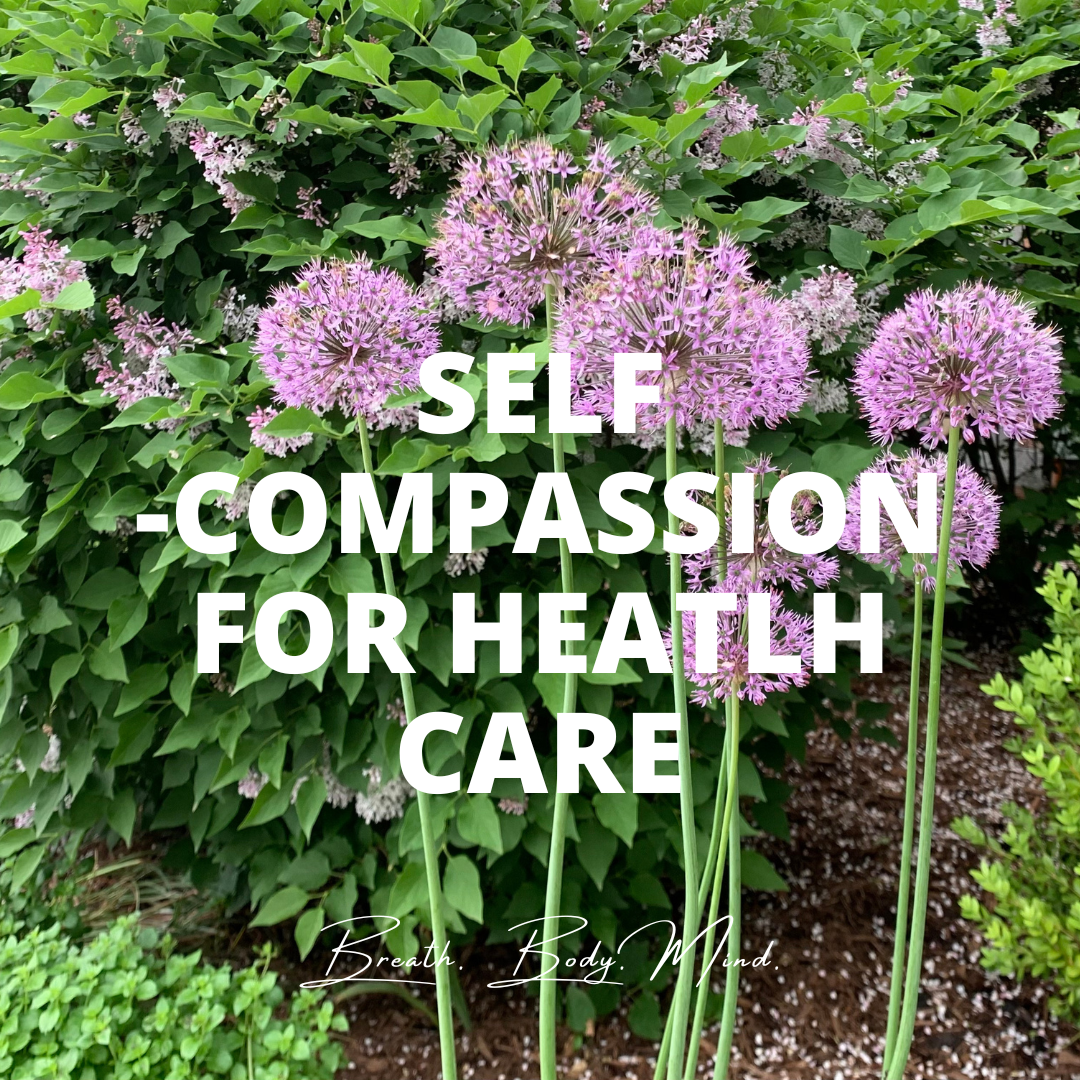 Self-Compassion for HealthCare Community