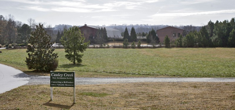 Cauley Creek.jpg