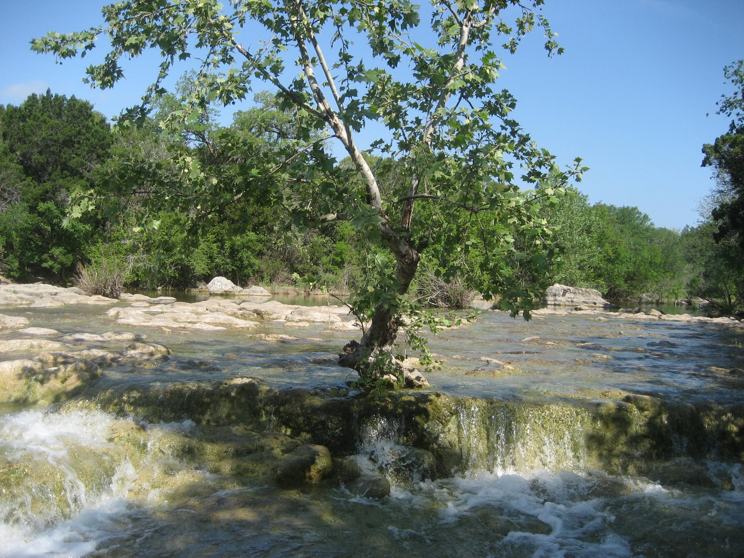 IMG_3910.jpg