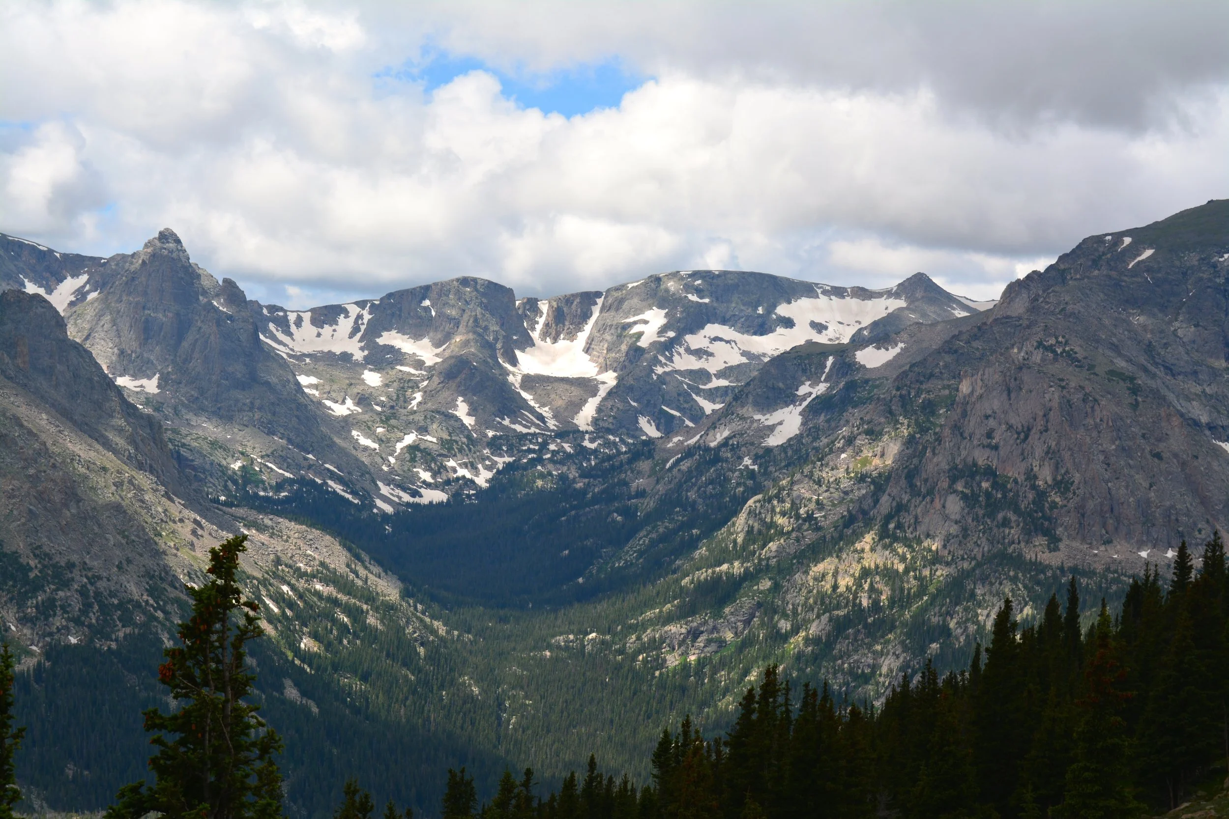 DSC_0091.jpg