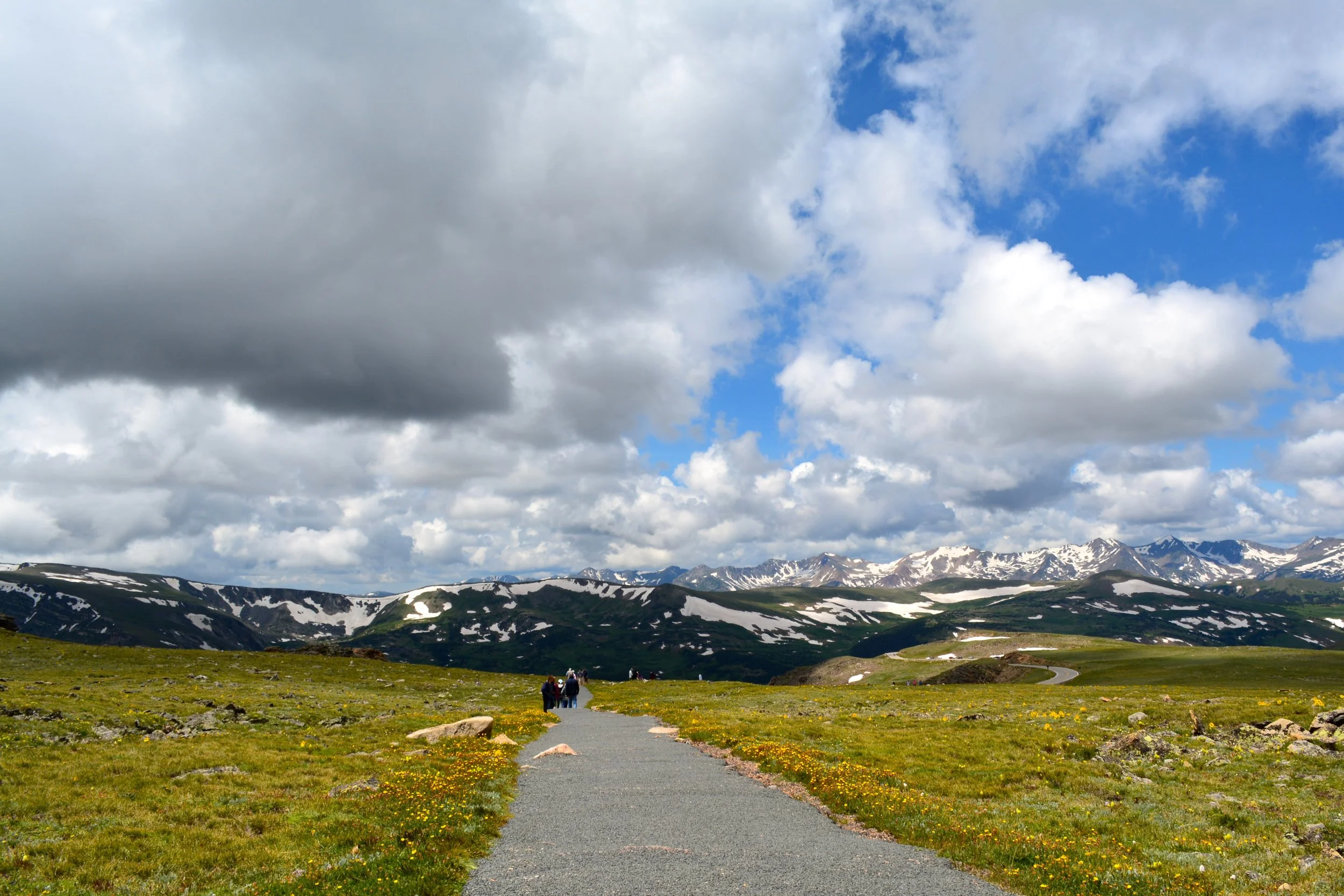 DSC_0121.jpg
