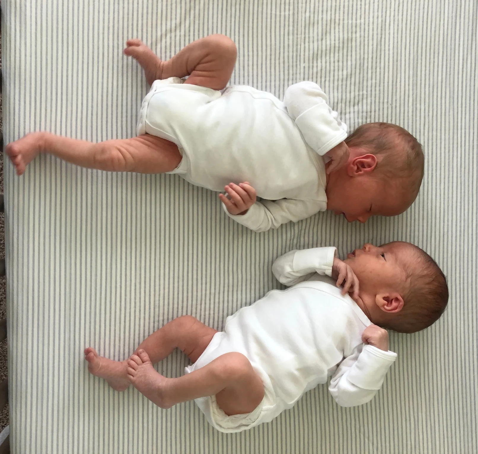 All in the Family: New Arrivals