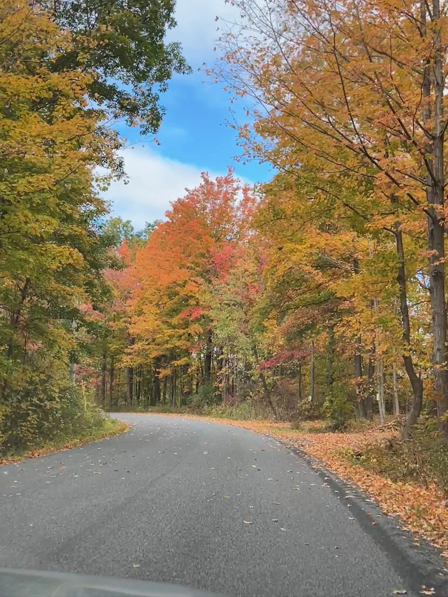 New England Fall Trip 2024