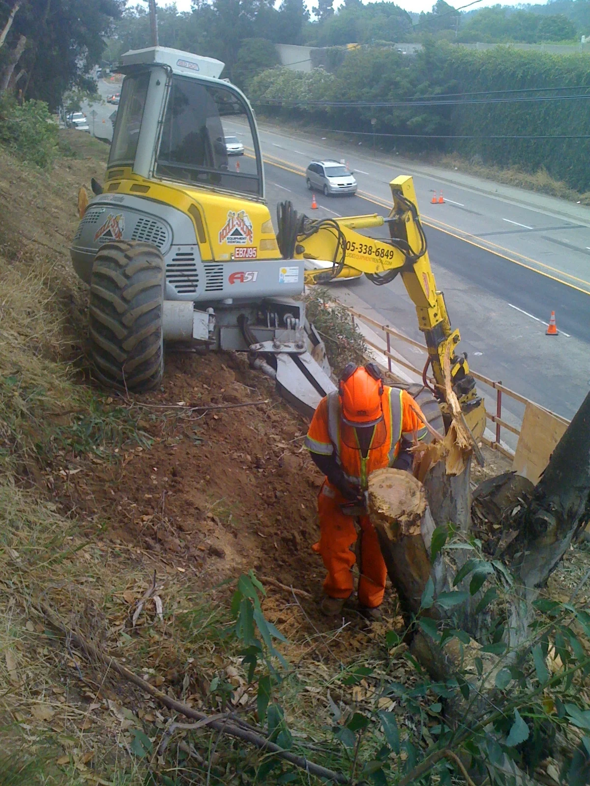 2010 I 405 Widening Project Tree Removal for Cal Trans