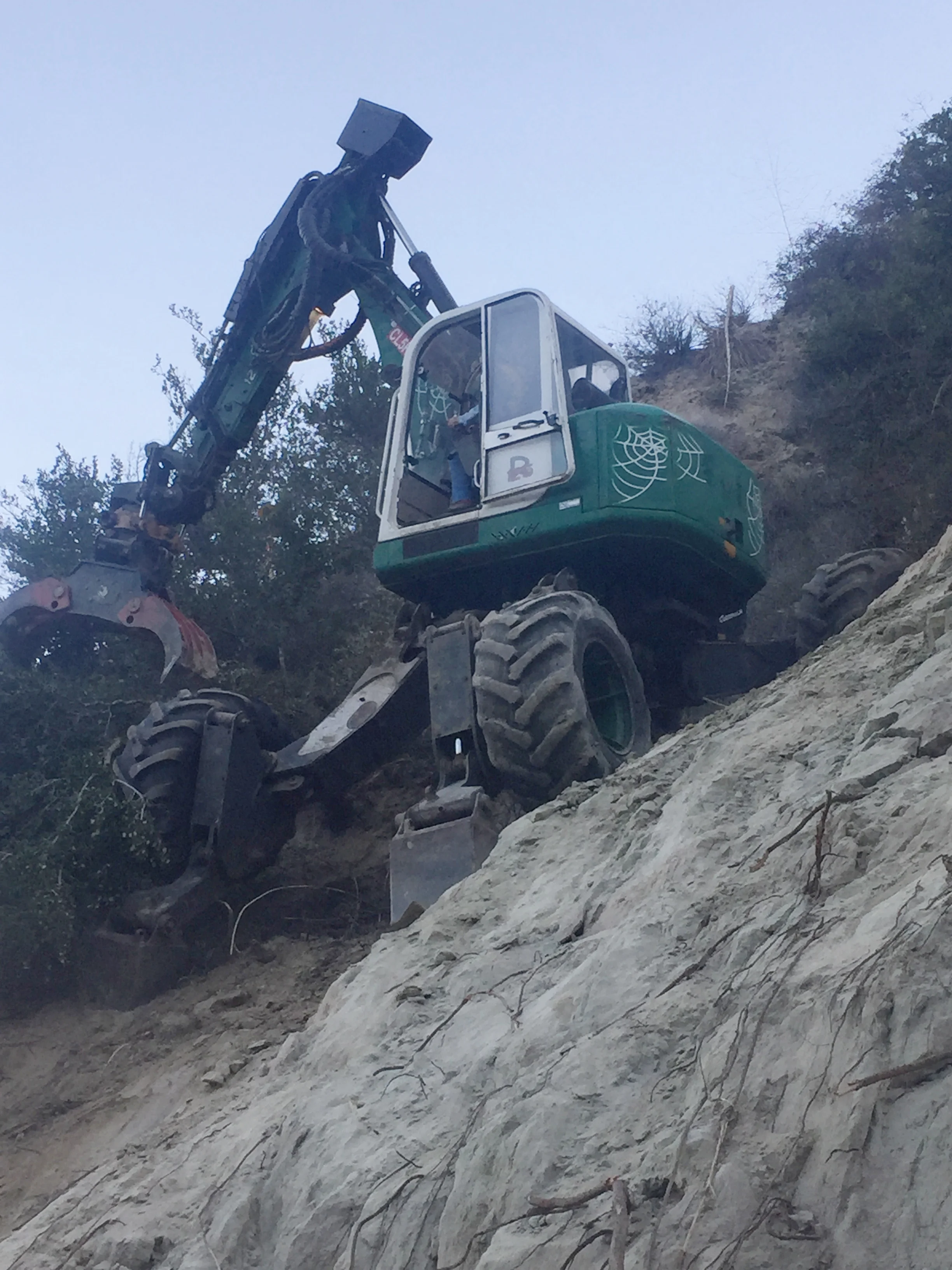 Brush Clearing/ Tree Removal  2018