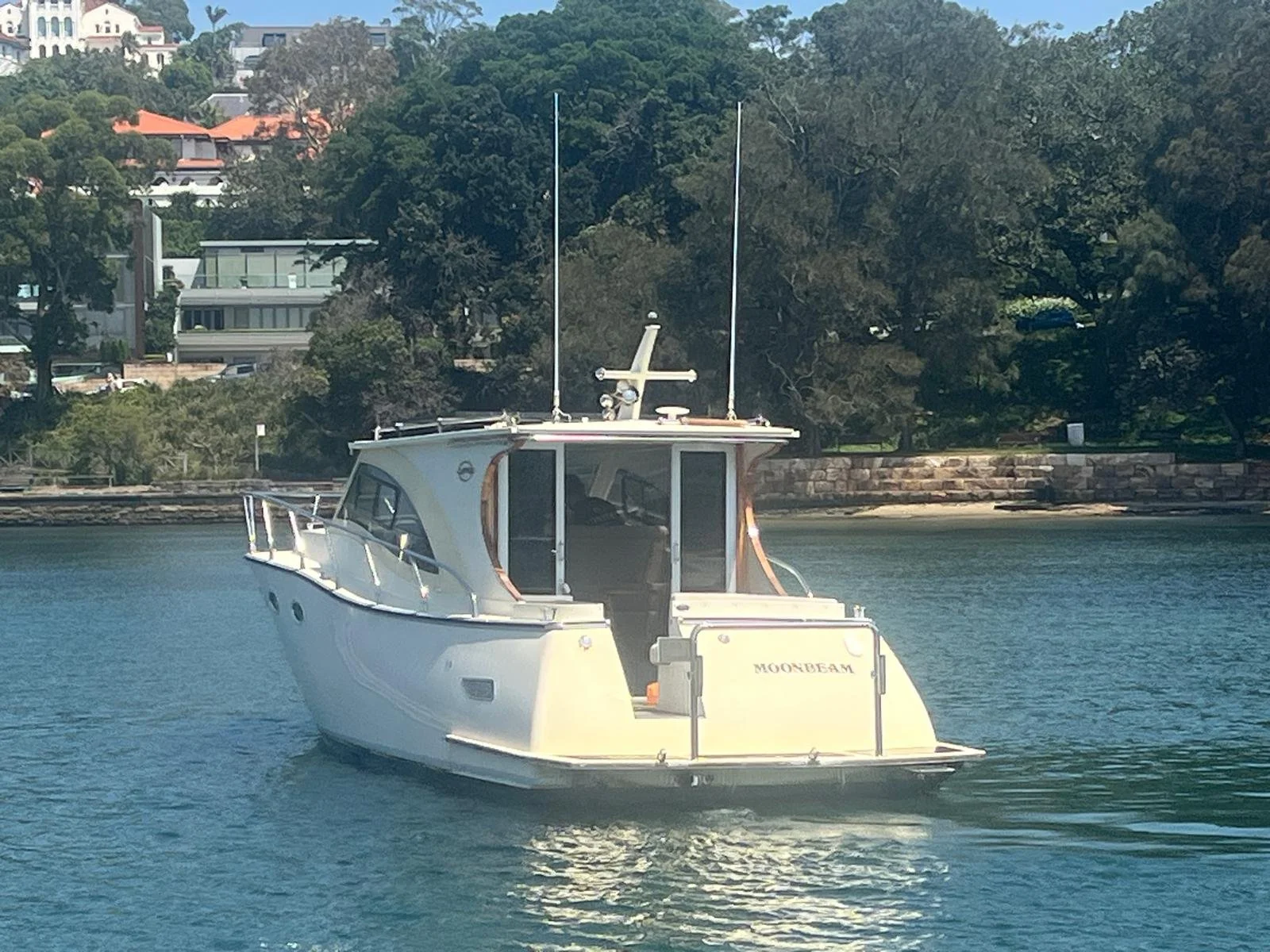 PHOTO-2026-03-05-13-36-20 10.jpg