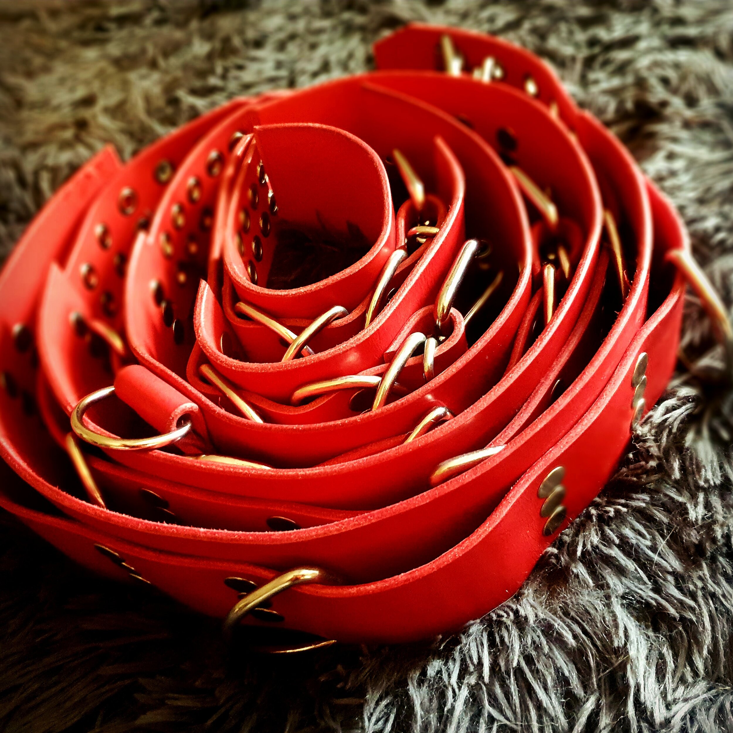 Wide leather wrist, ankle and collar set