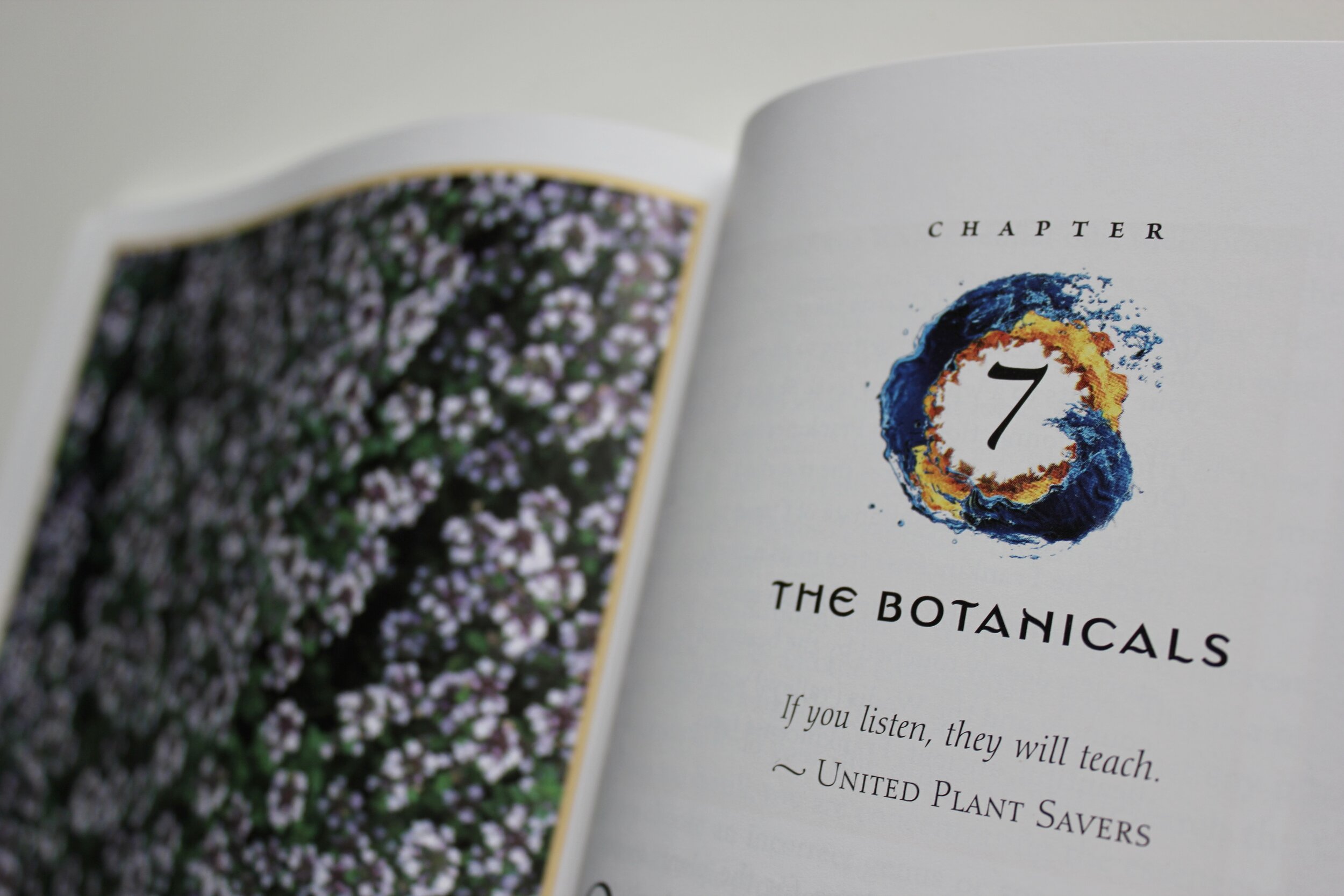 wellness resource list: books and podcasts