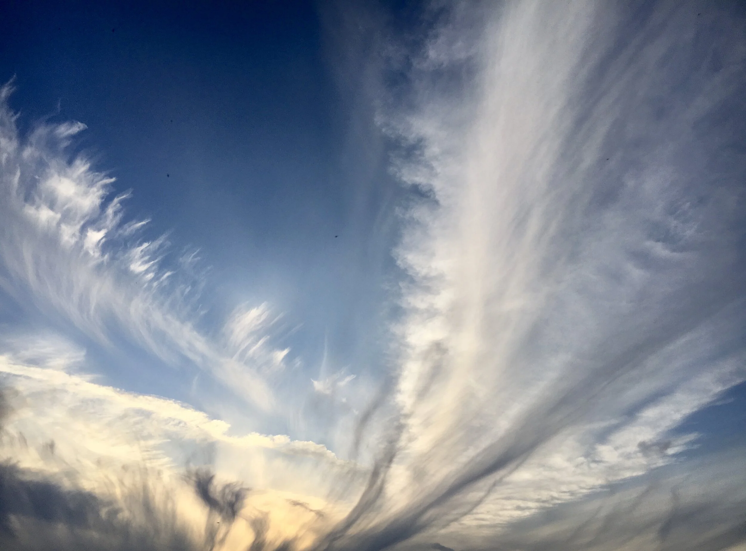 Smoke &amp; Stress &amp; Our Skin