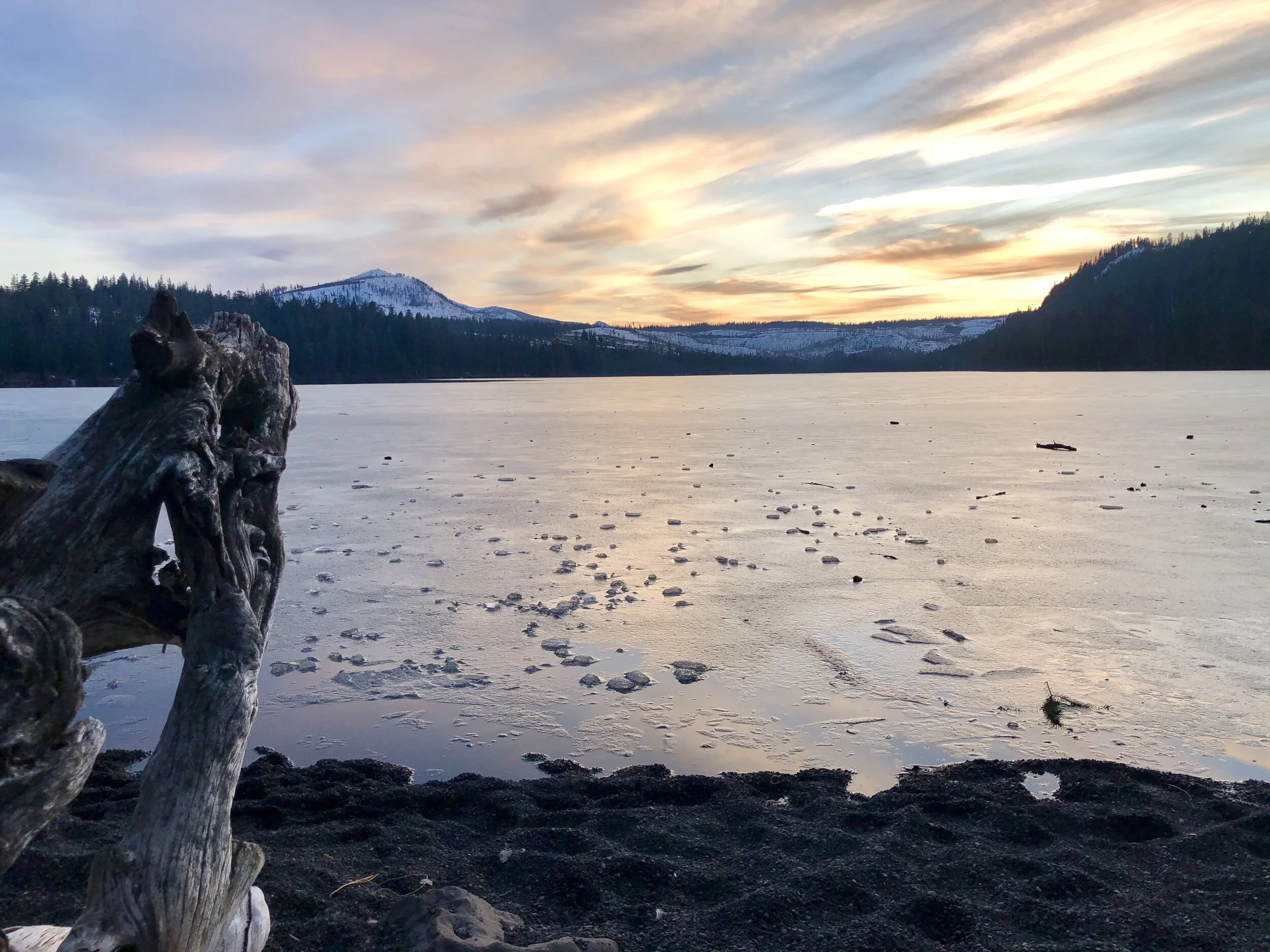 COVID Protocol Update: Winter 2020