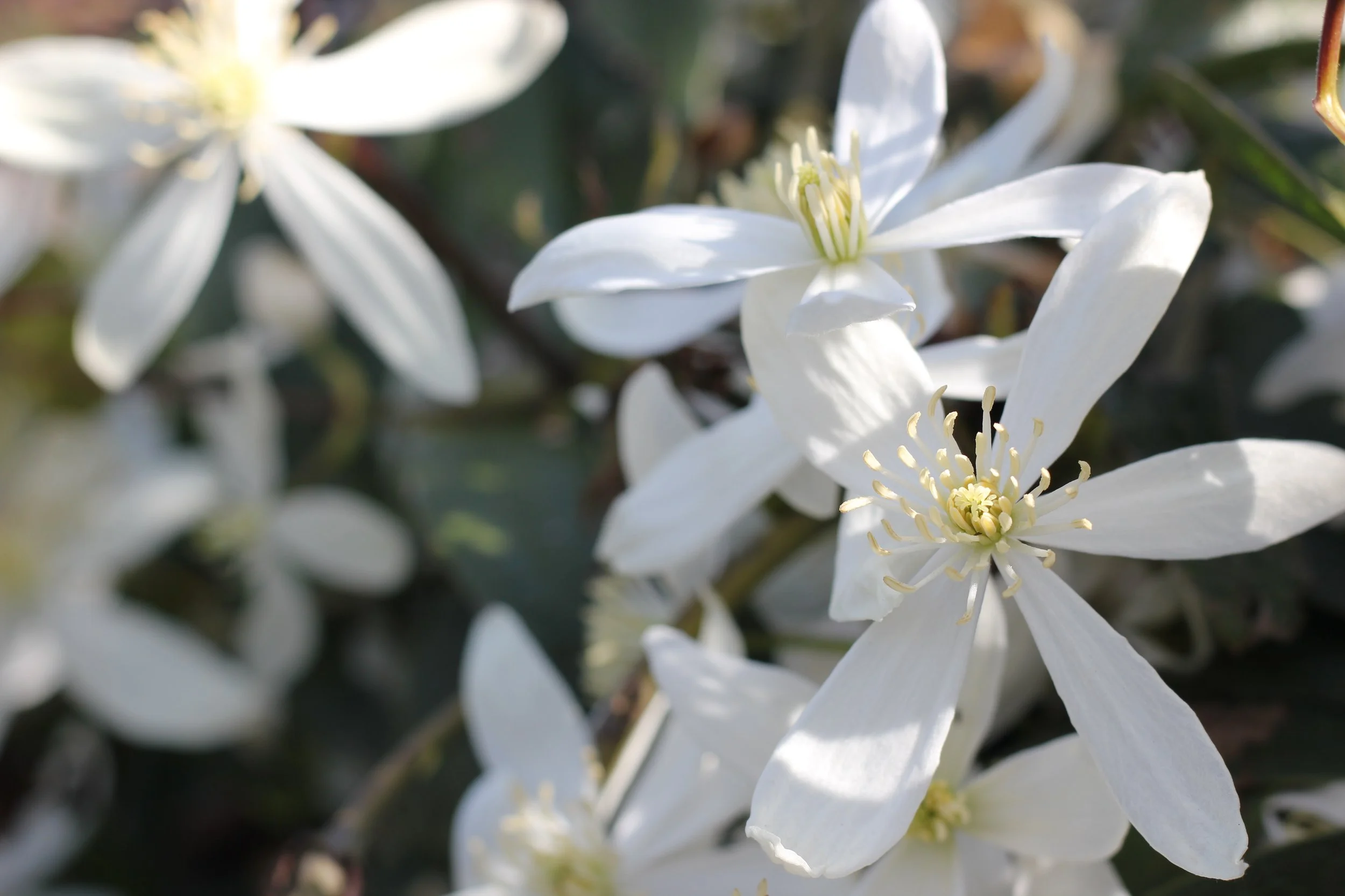 InSense #1 - Spring 2022