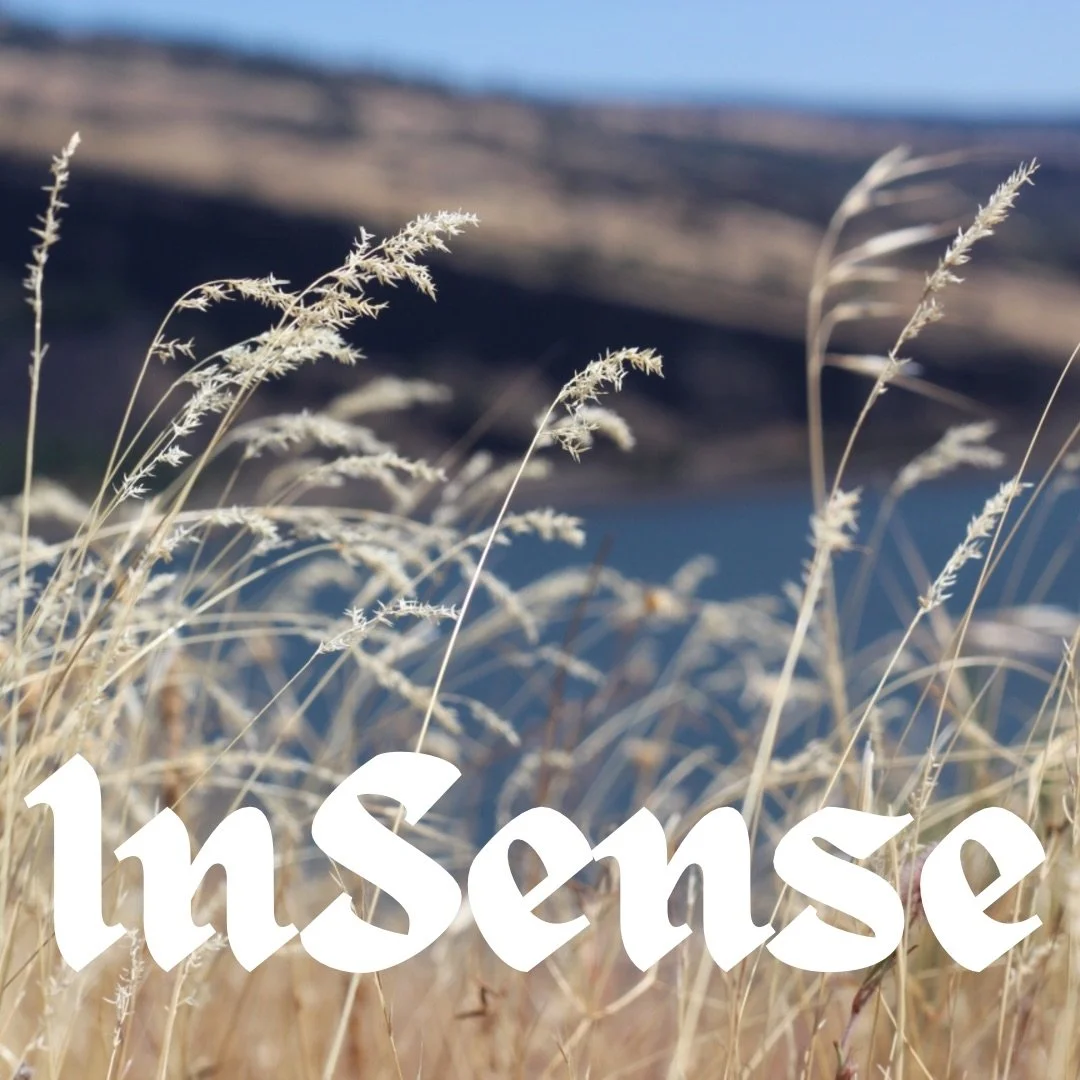 InSense #3 - Autumn 2022
