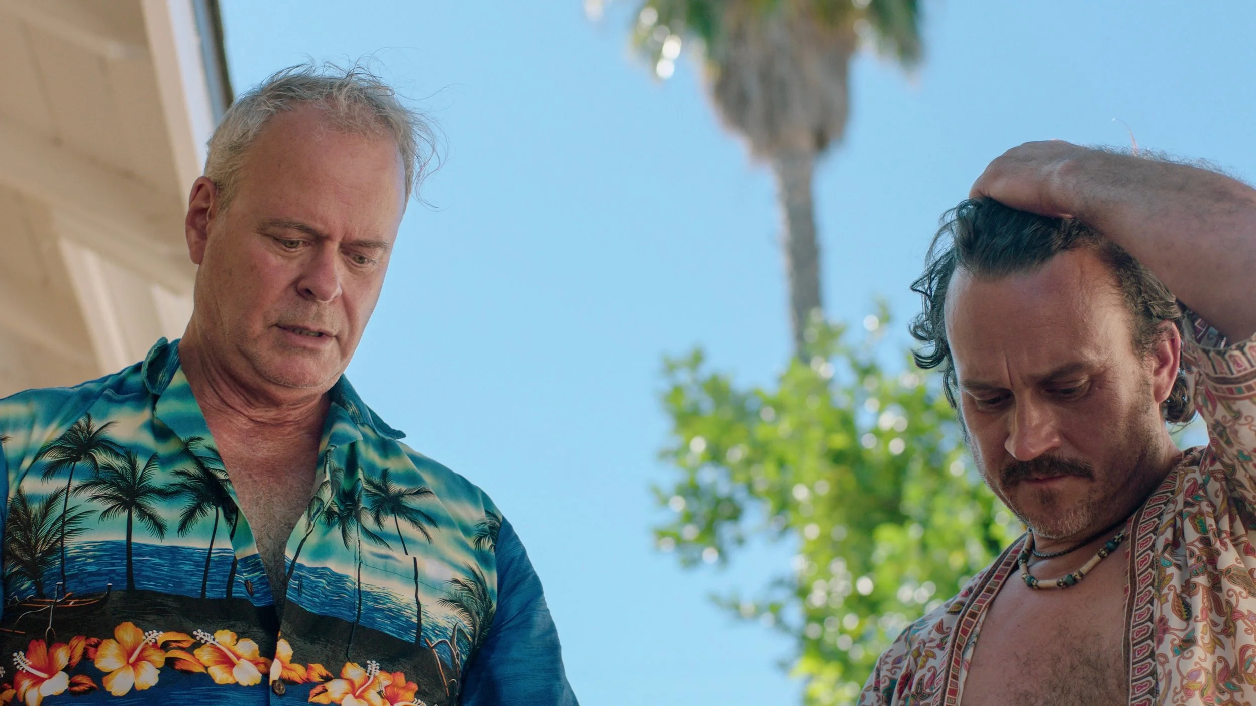 Sunshine Vice (2018)