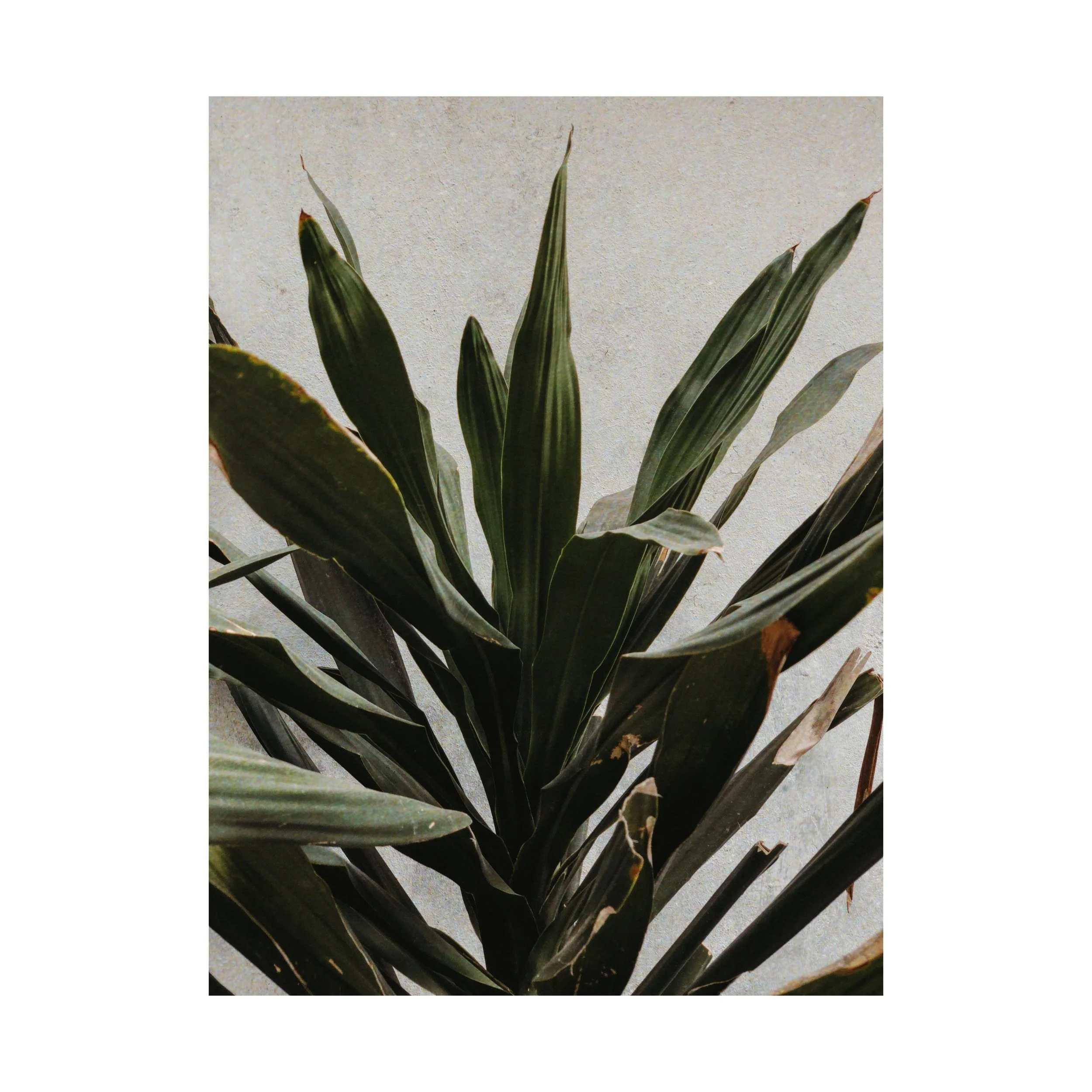 tempImageForSave 9.JPG