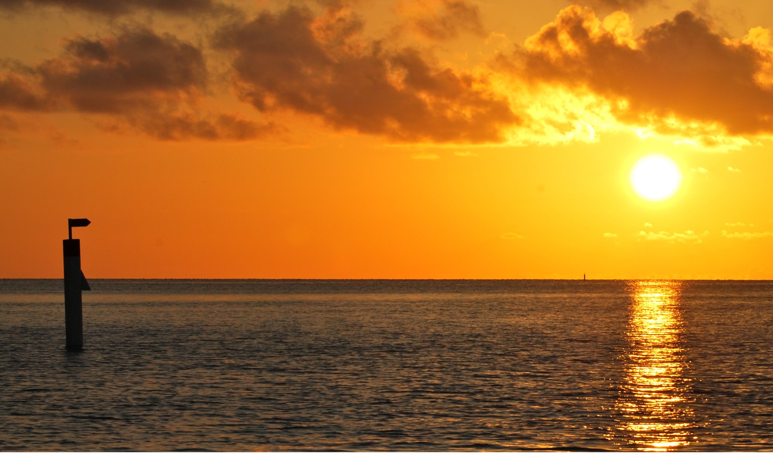 DSC_0265 - Cropped.JPG