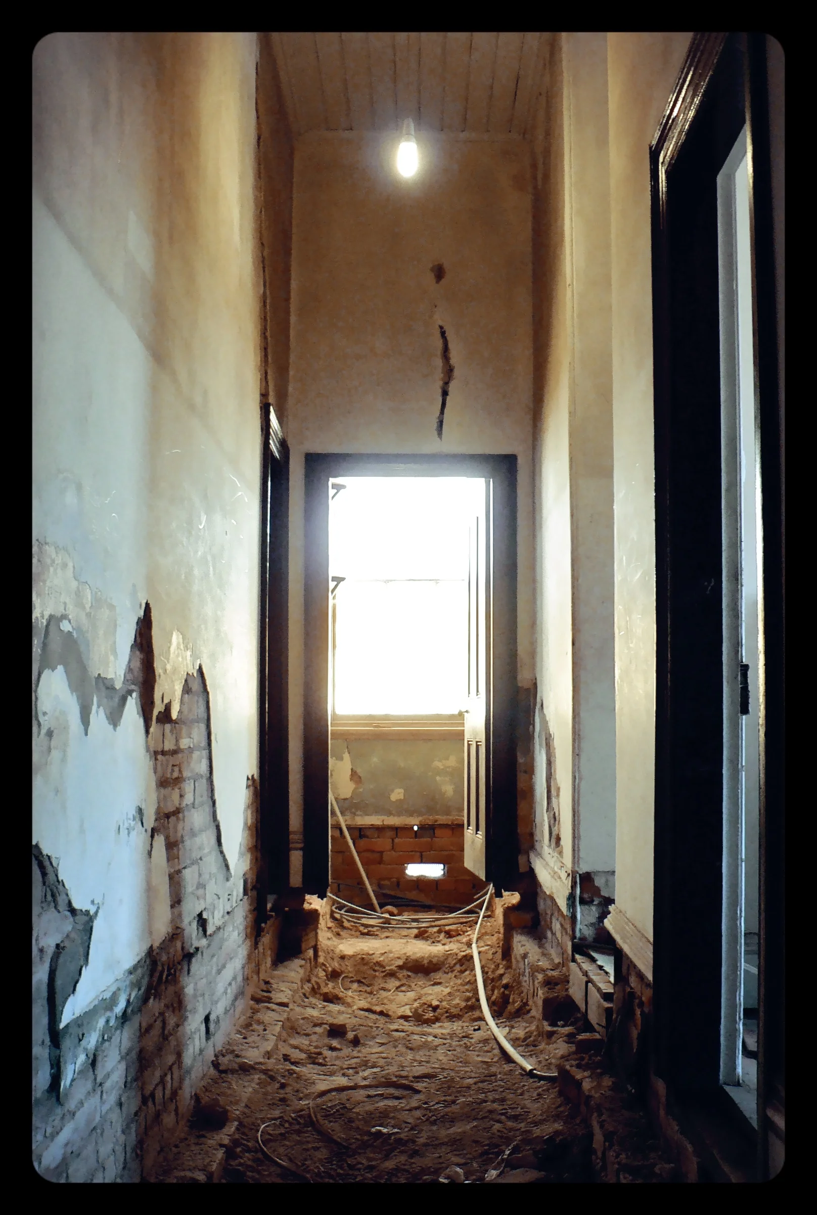 The beauty in neglect.