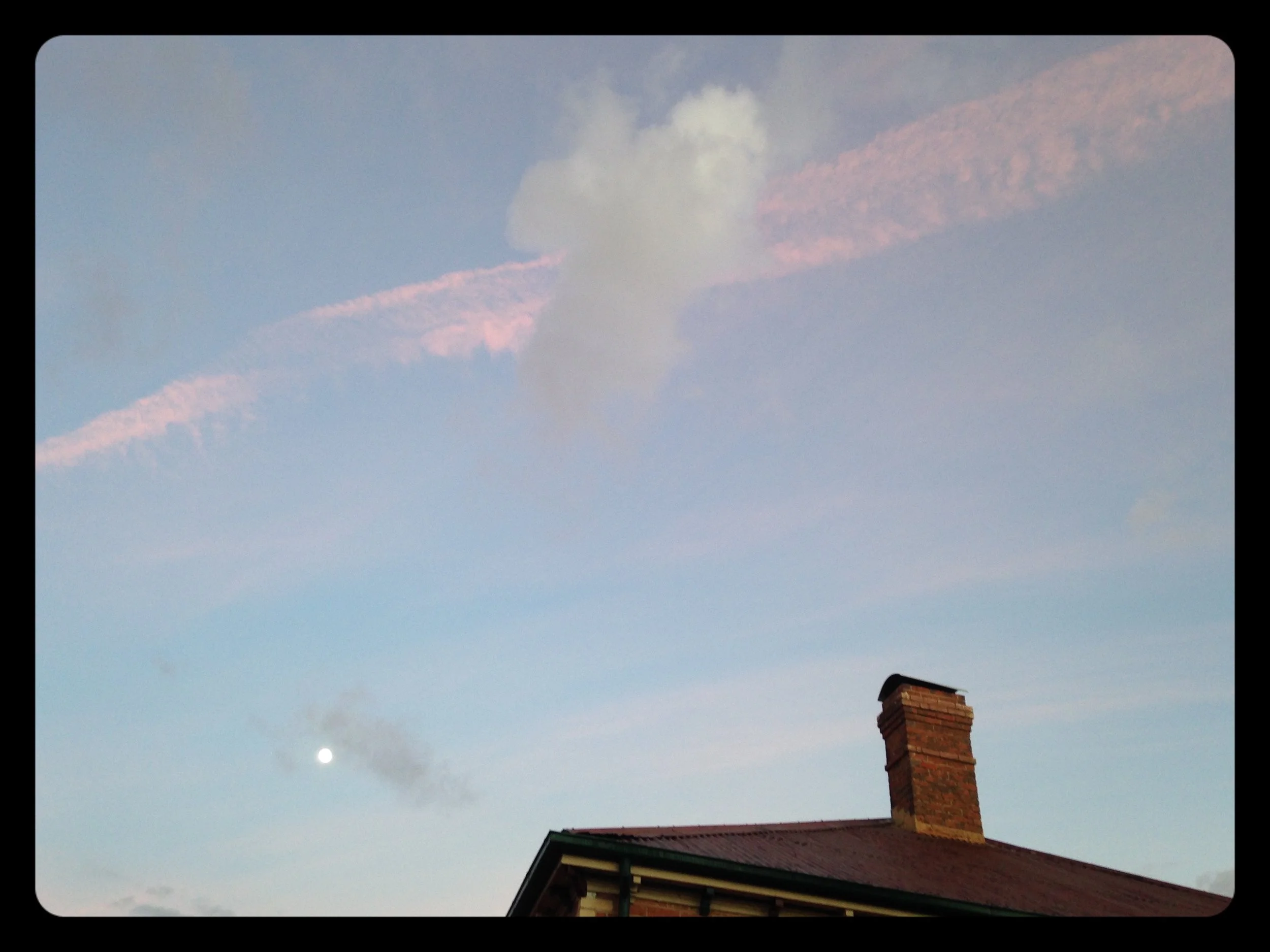 IMG_5135_Fotor.jpg