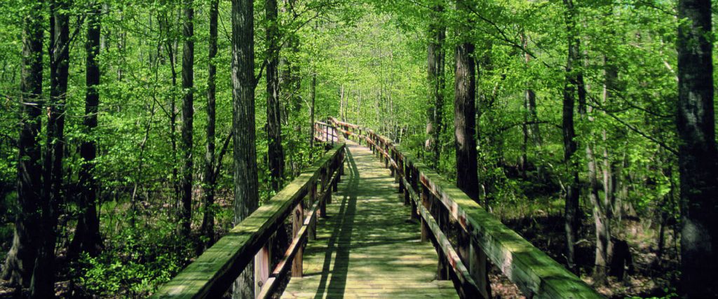 Why-Should-You-Go-for-Hiking-In-Tennessee-State-Parks-3-1024x427.jpg