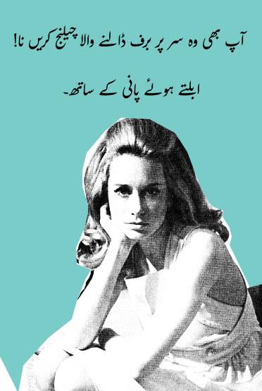 bitchy-urdu-cards-abdullah-syed-16.jpg