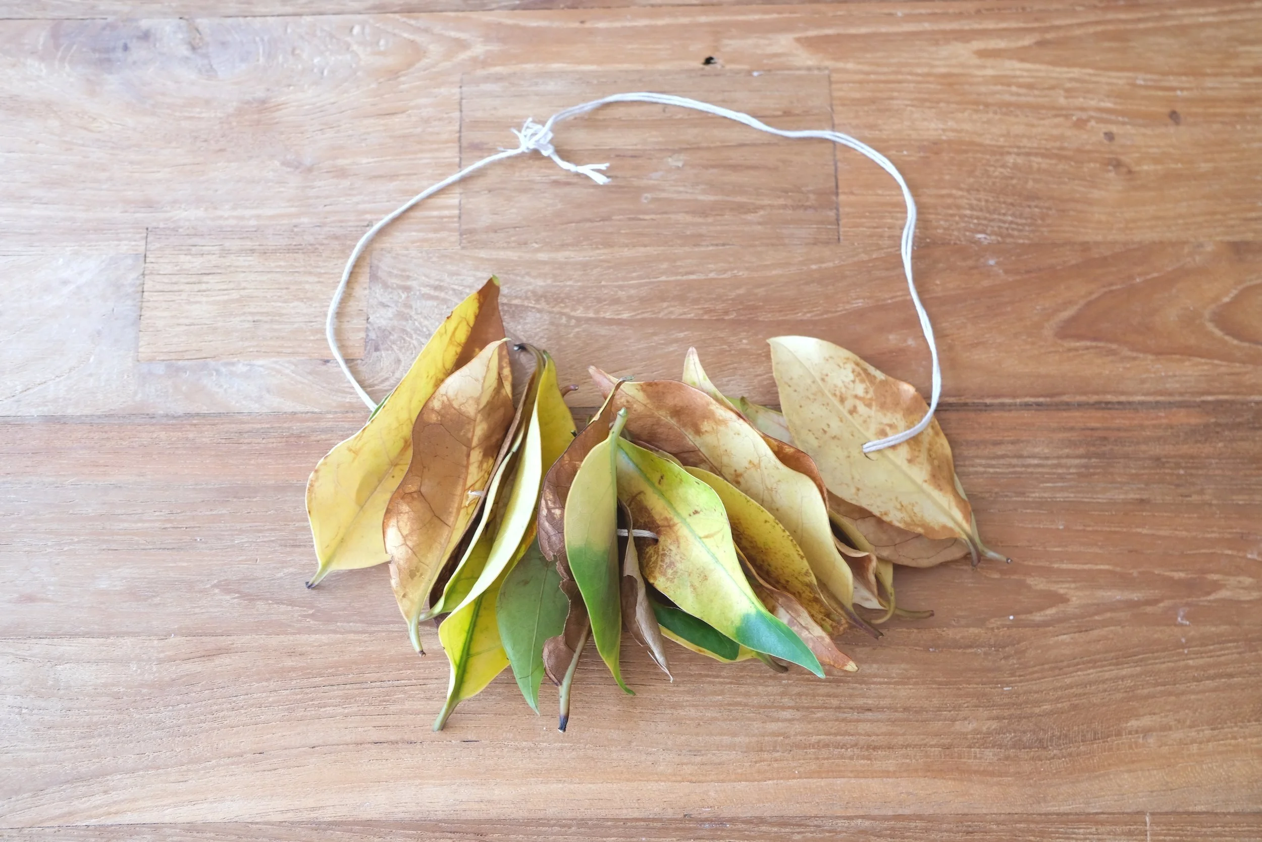 How to Make a Necklace Using Nature Finds Fun Activity for Toddlers