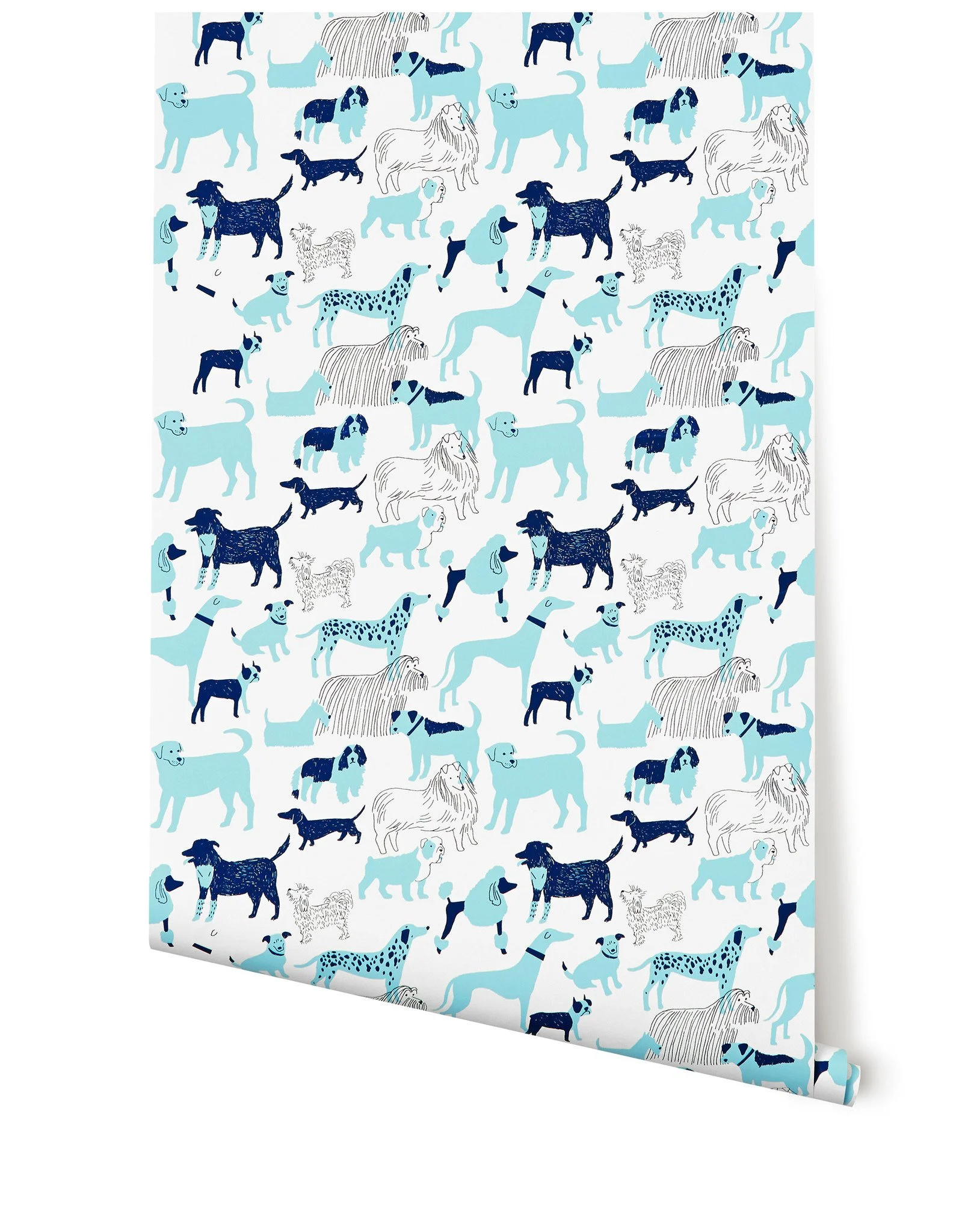 HW_JRO054_Dogpark_Blue_Roll_web.jpg