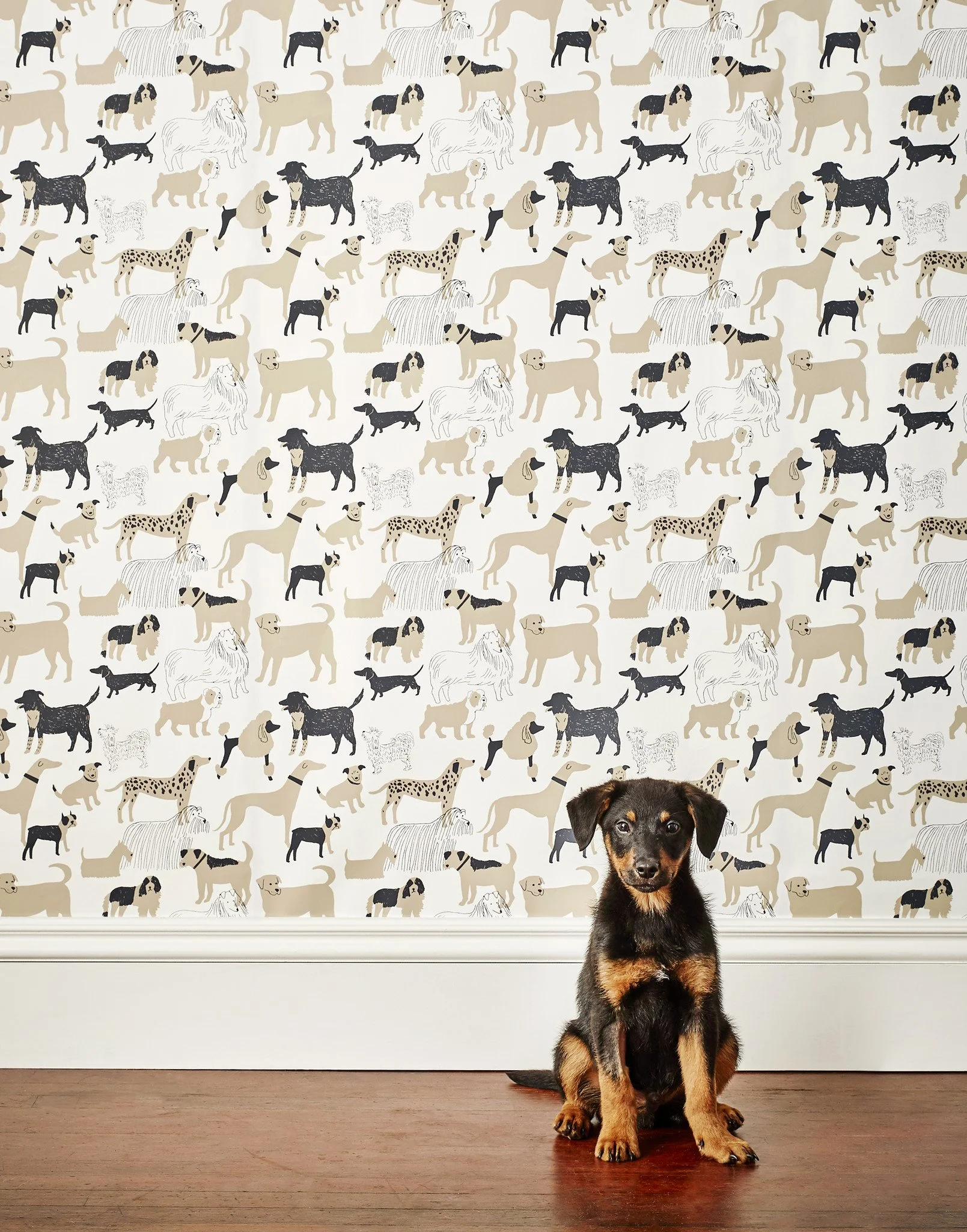 HW_JRO056_DogPark_Taupe_Detail_web.jpg