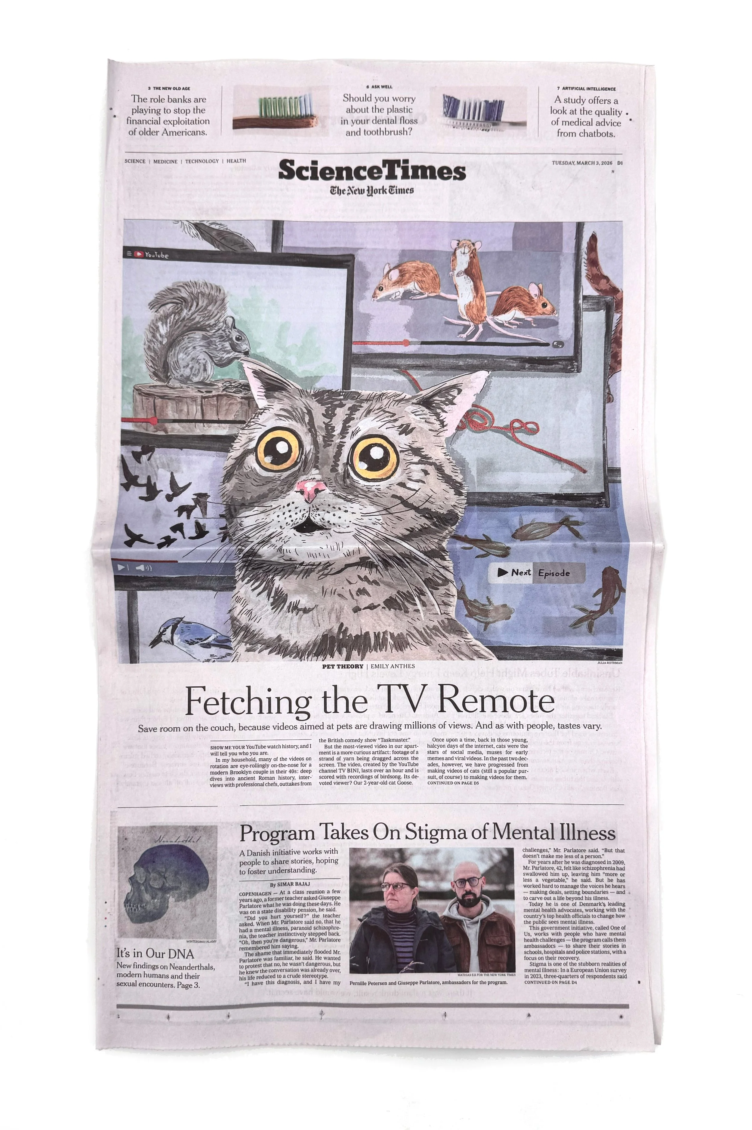 NYTCattv.jpg