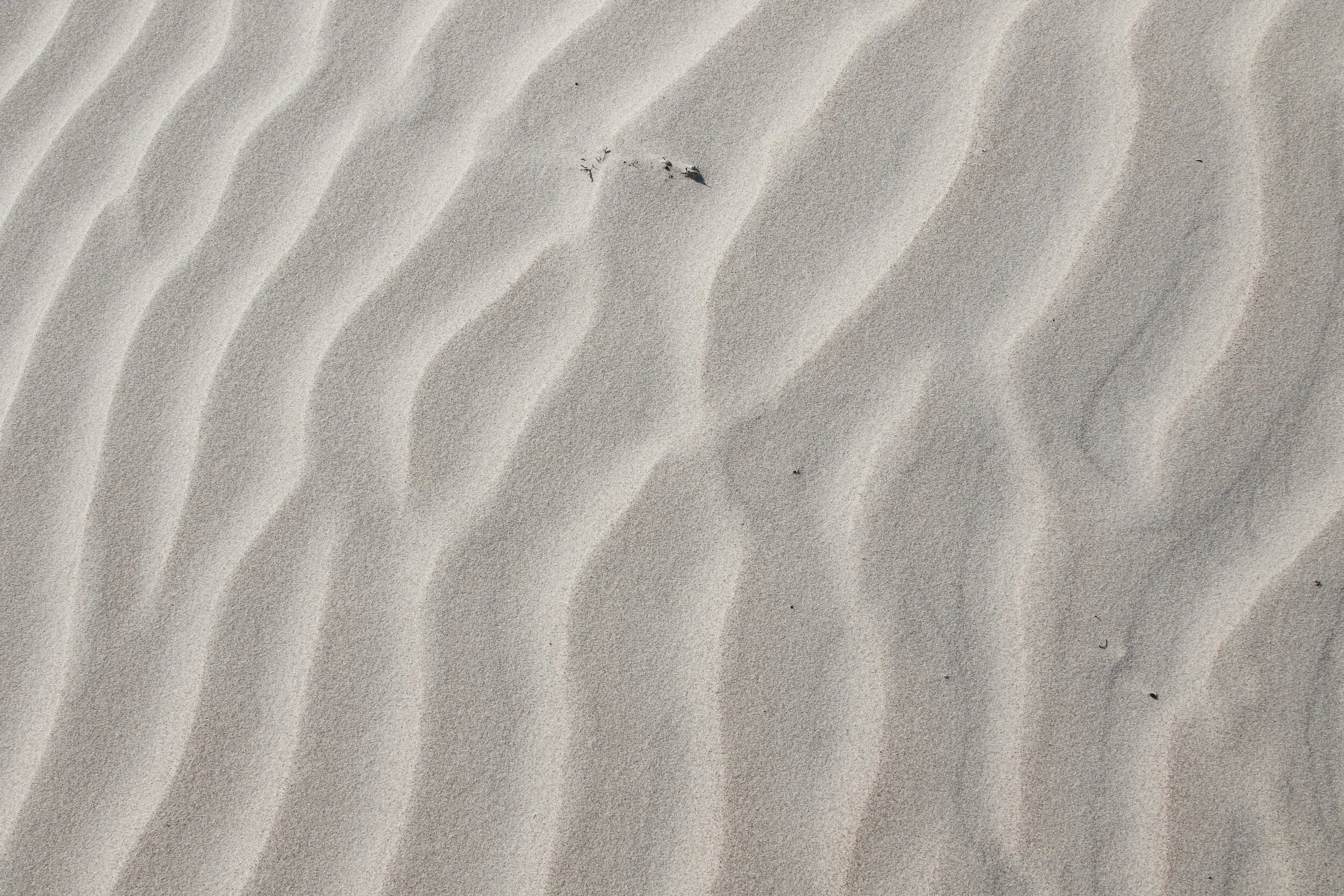 unsplash-image-cZ5CfEwo5Lw.jpg