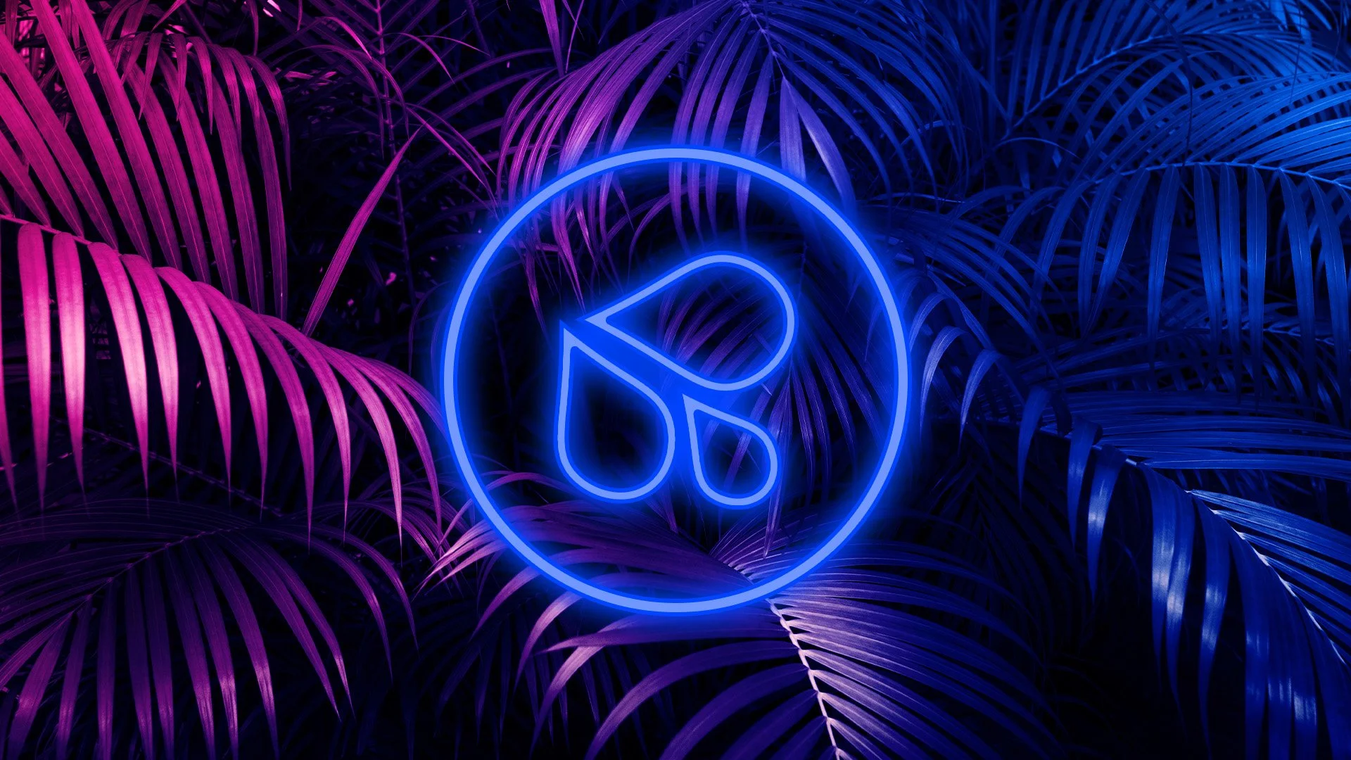JUNGLE TV SCREEN 3.jpg