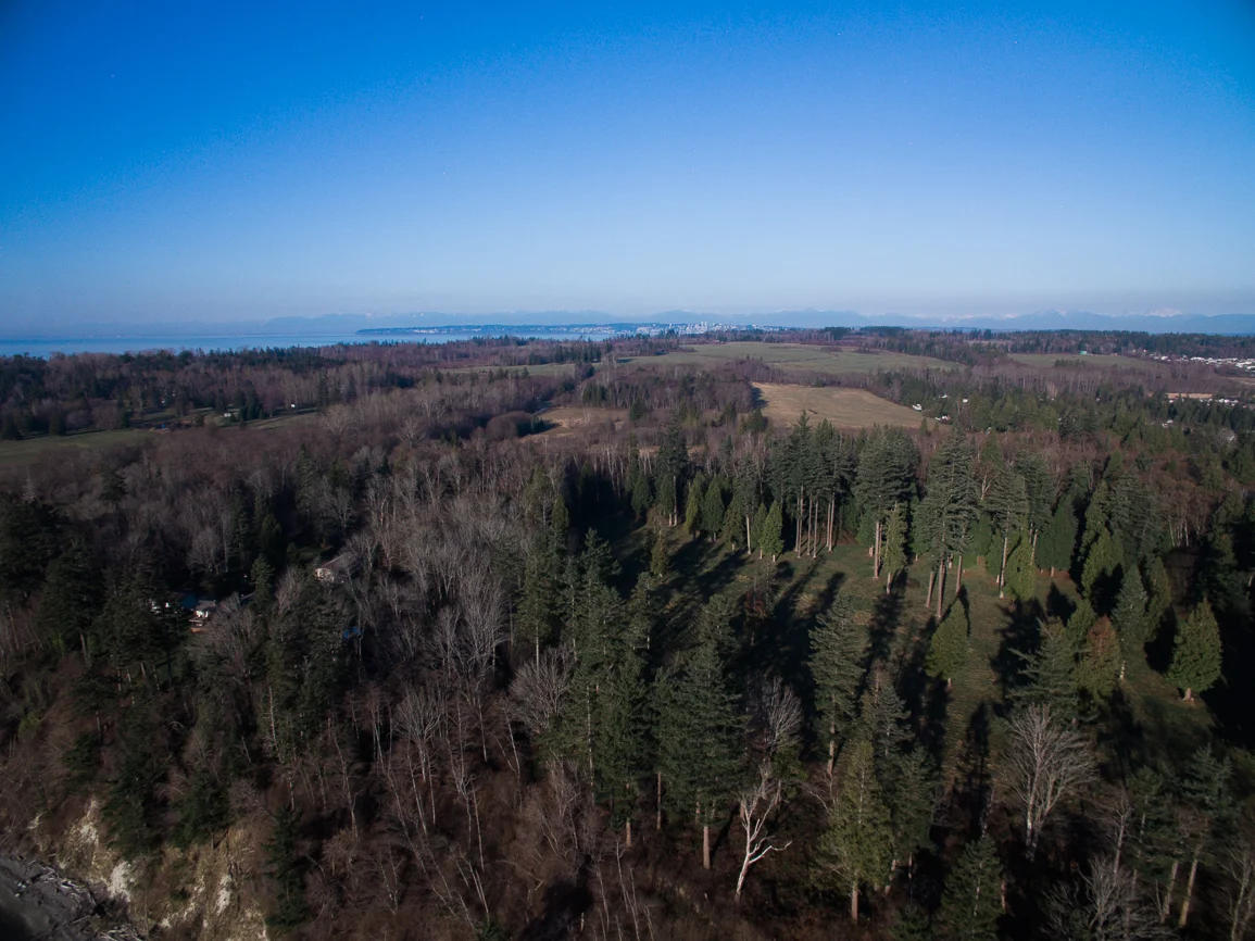 BirchBay-0020.jpg