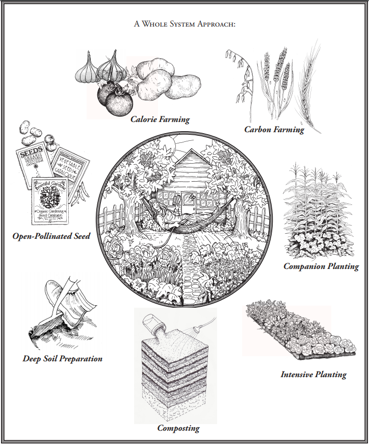 Biointensive Plant Spacing Chart