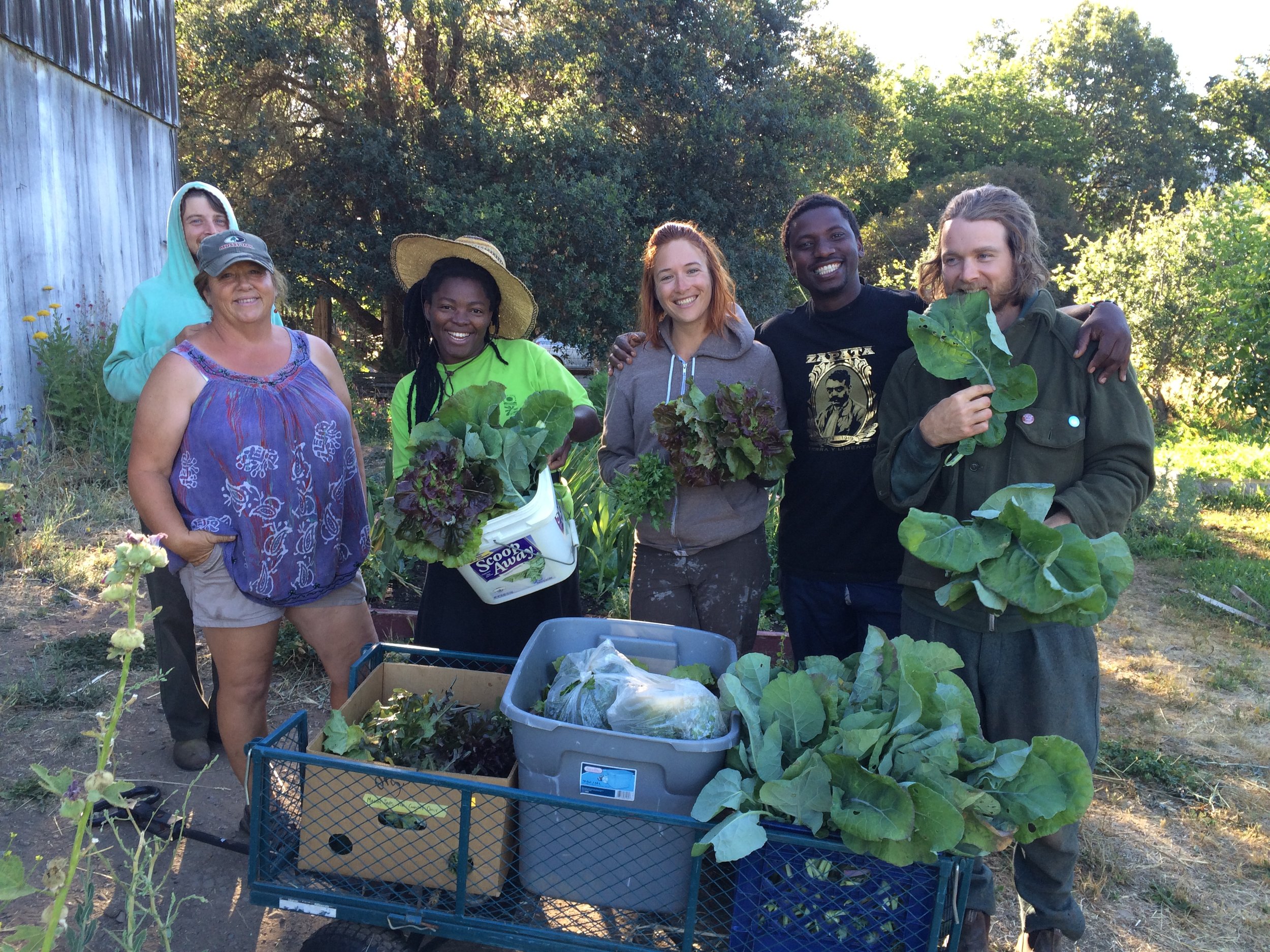 Interns showing a bountiful harvest.  Justin, Ellen, Olawumi, Sharon, Sammy, and James.