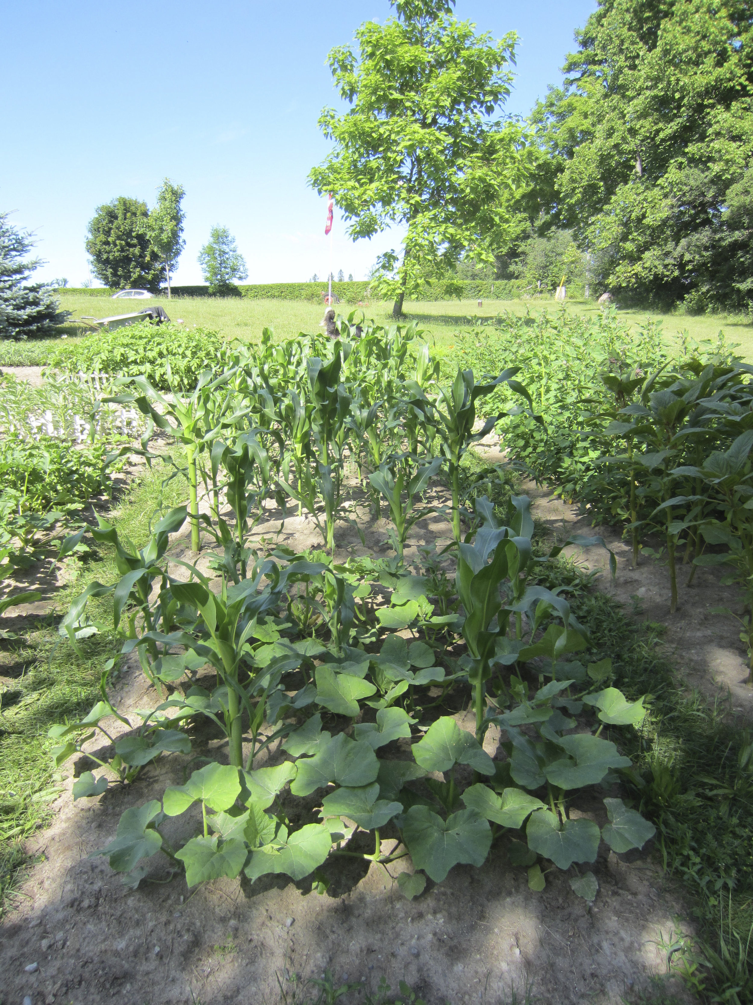 ontario gardens-195.jpg