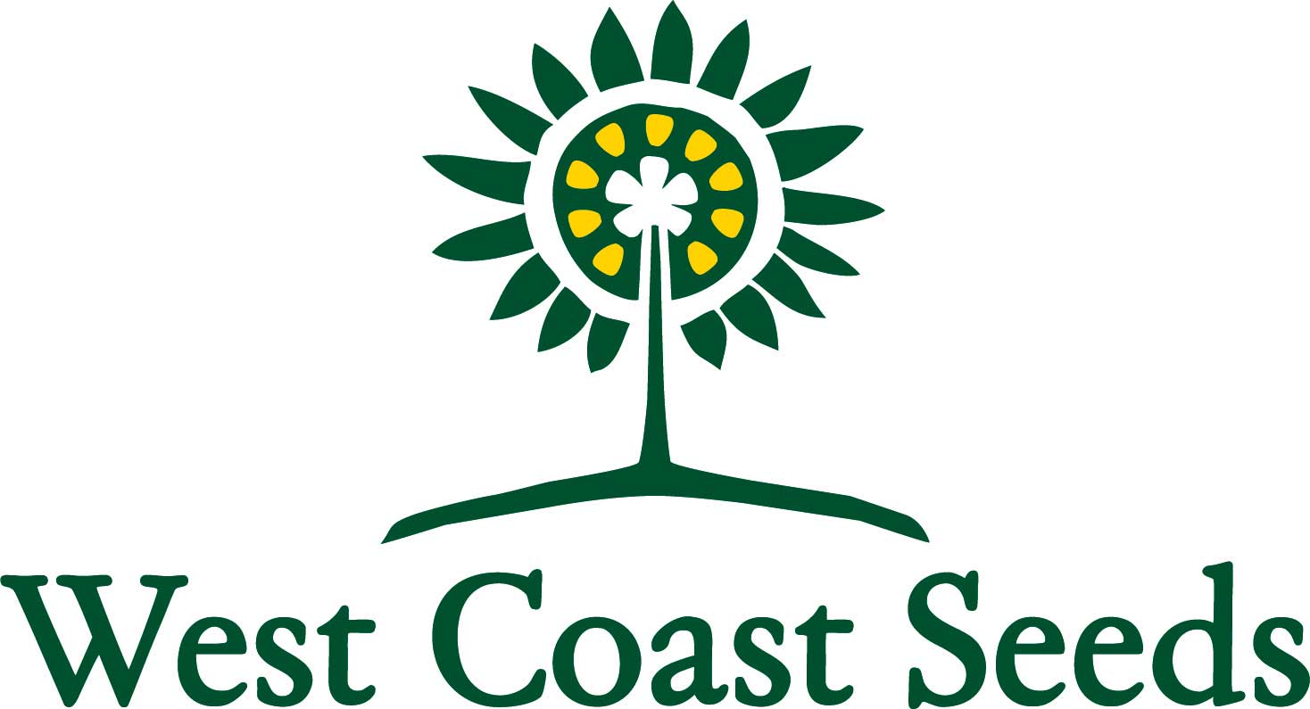 logo.jpg