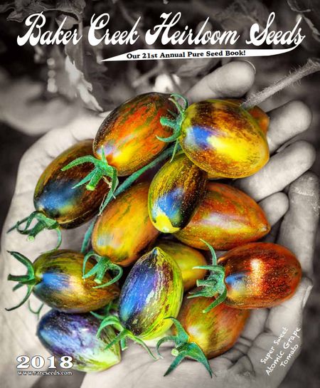 baker-creek-heirloom-seed-catalogs-5a6f65e0119fa8003796240a.jpg