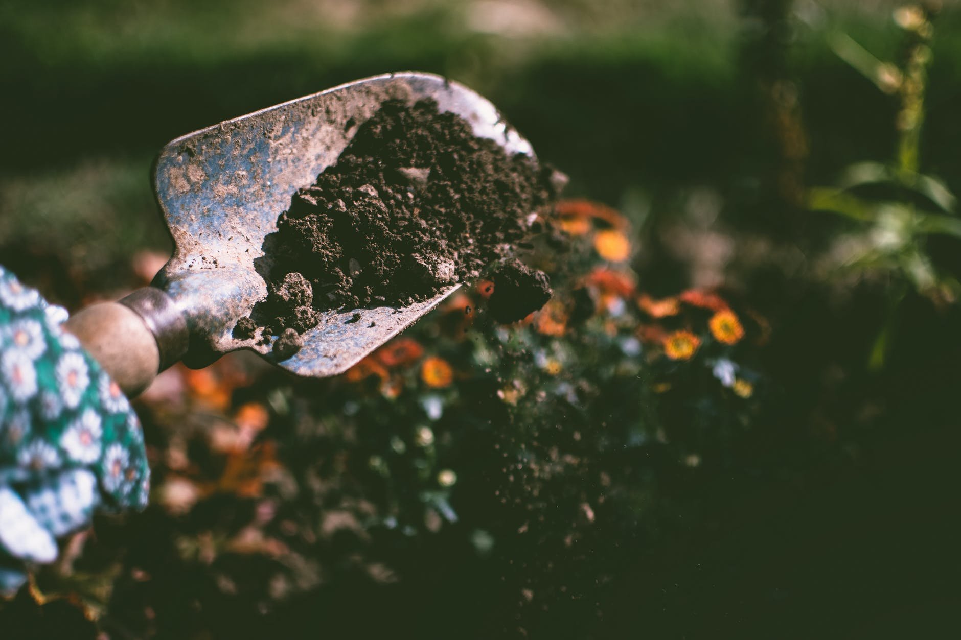 soil.jpeg