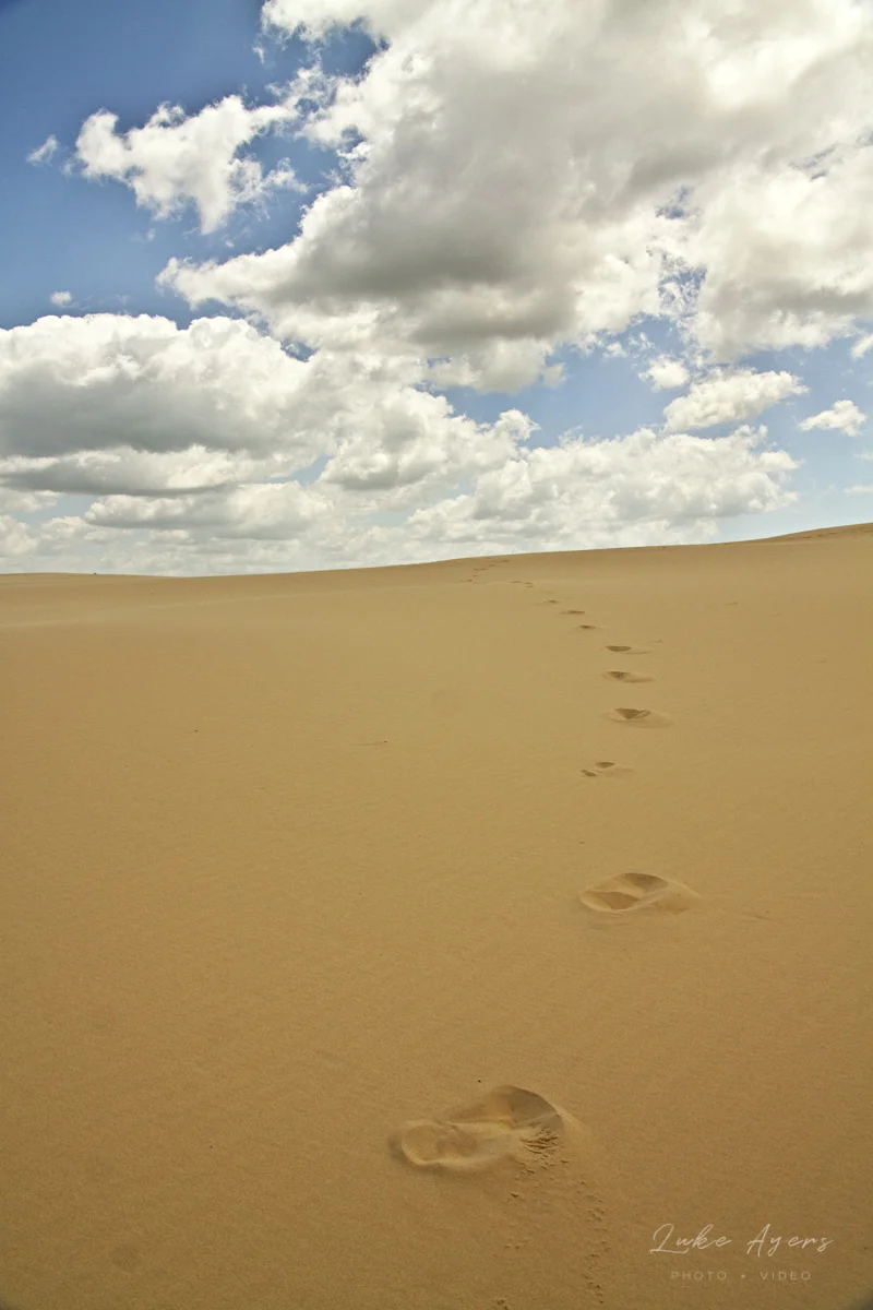 Strawn.jpg
