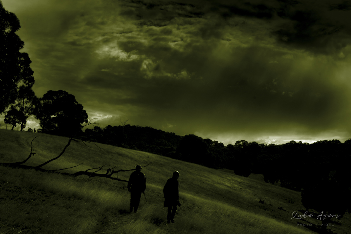 The Trail.jpg