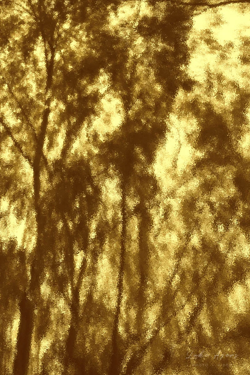 WallOfFire.jpg