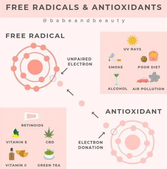 Free Radicals? What are they &amp; how do they impact our health?