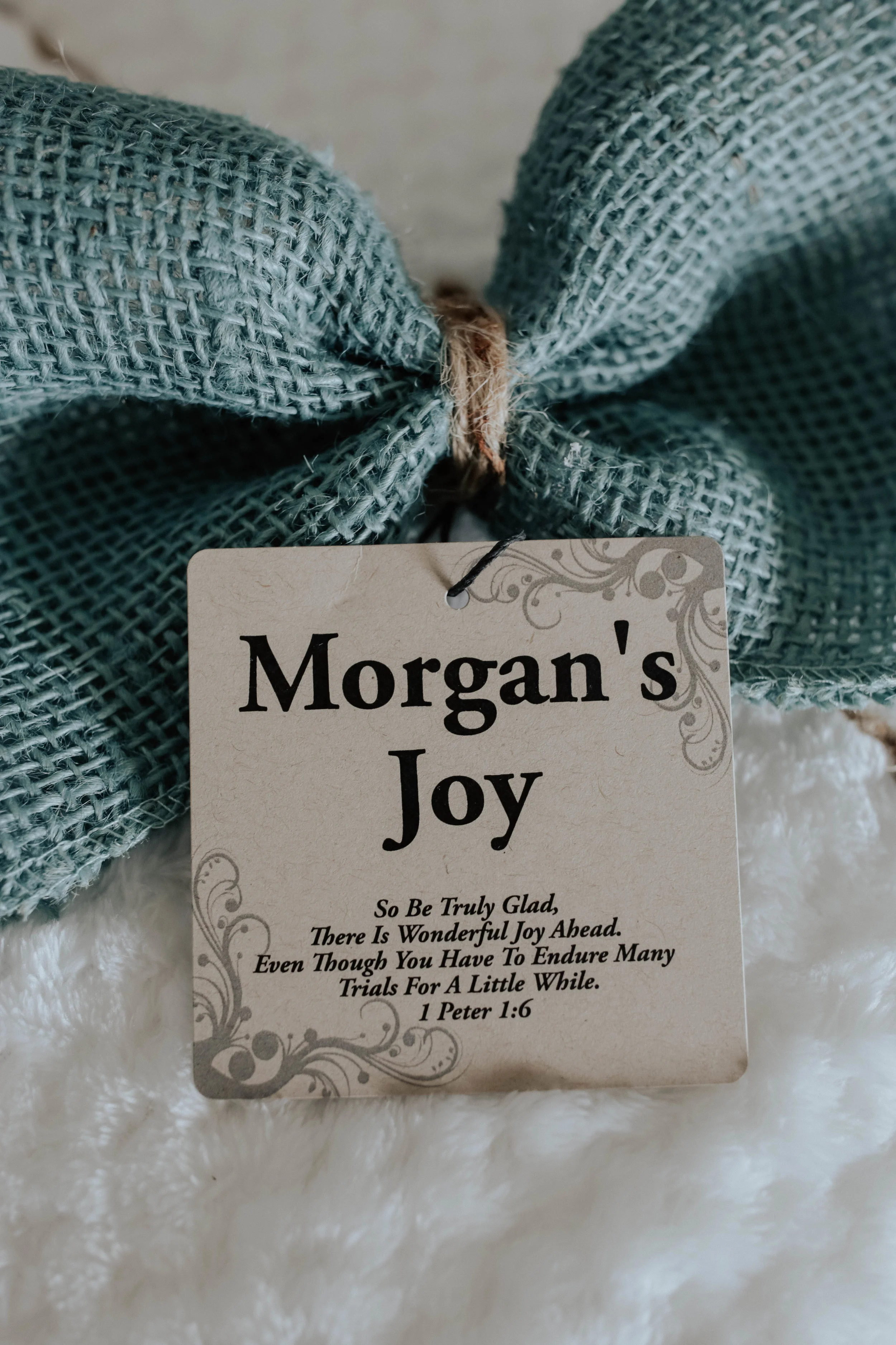 morgansjoy2.jpg
