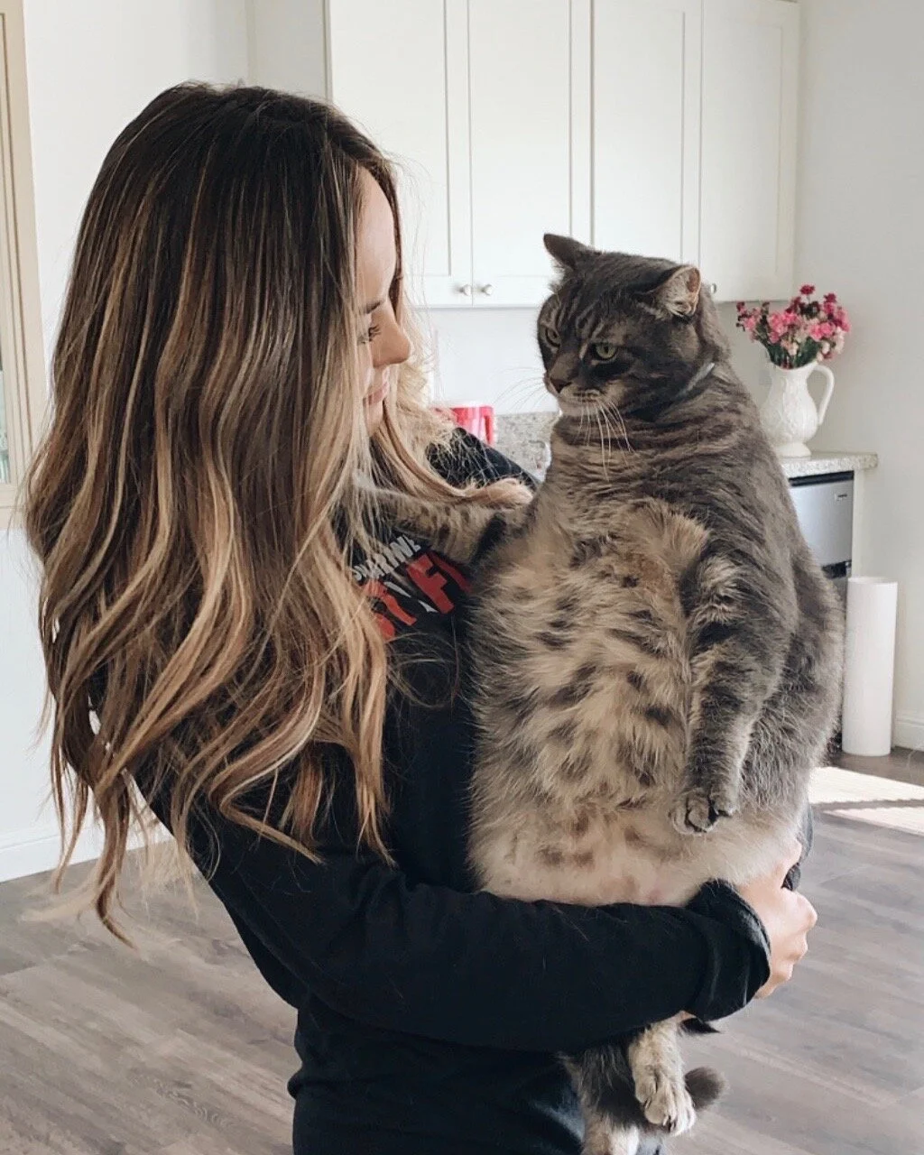 pictures of my cat.